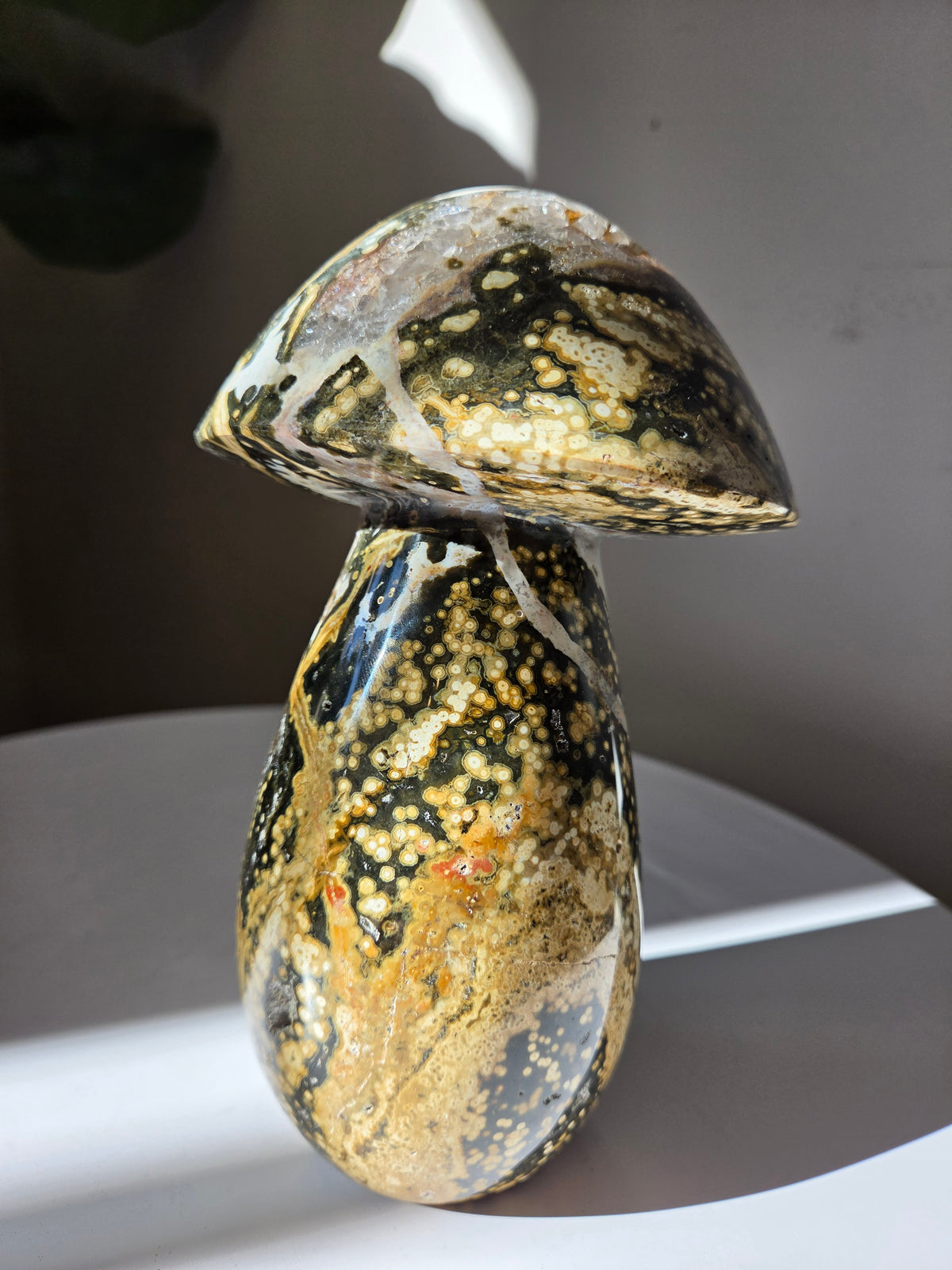 XL Sea Jasper Mushroom 002