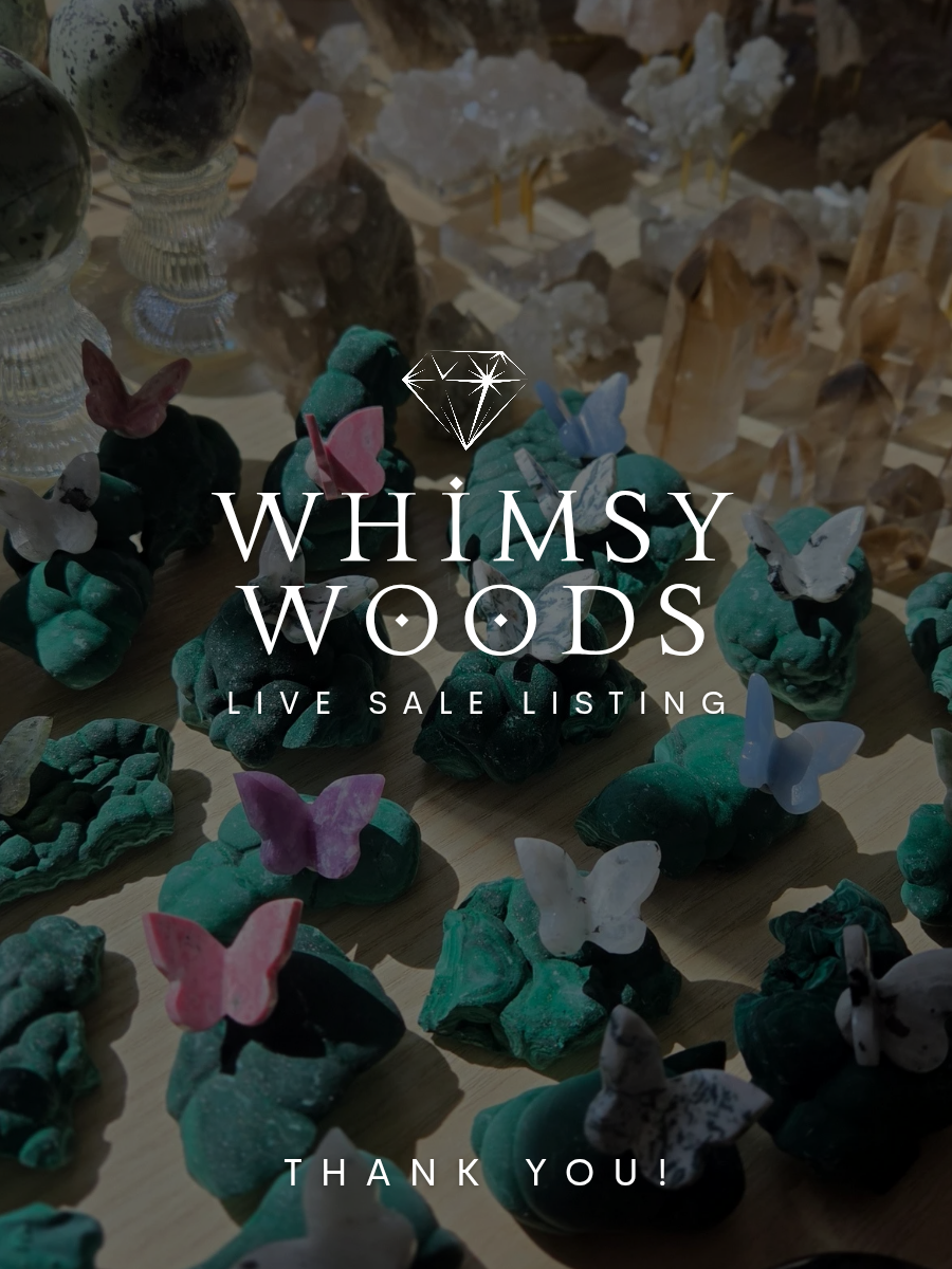 Amysnydar | whimsy pp