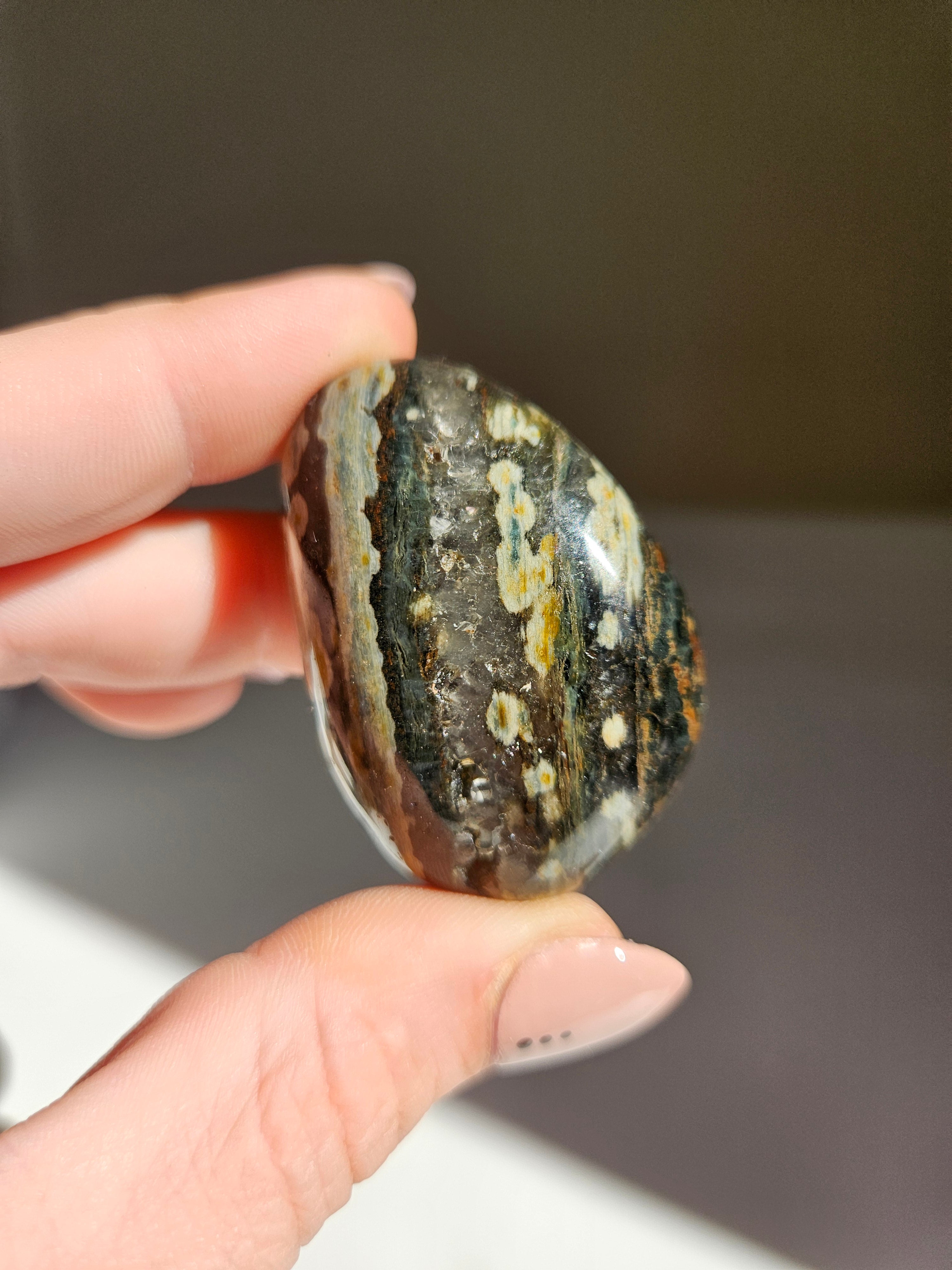 Sea Jasper Palmstone 021