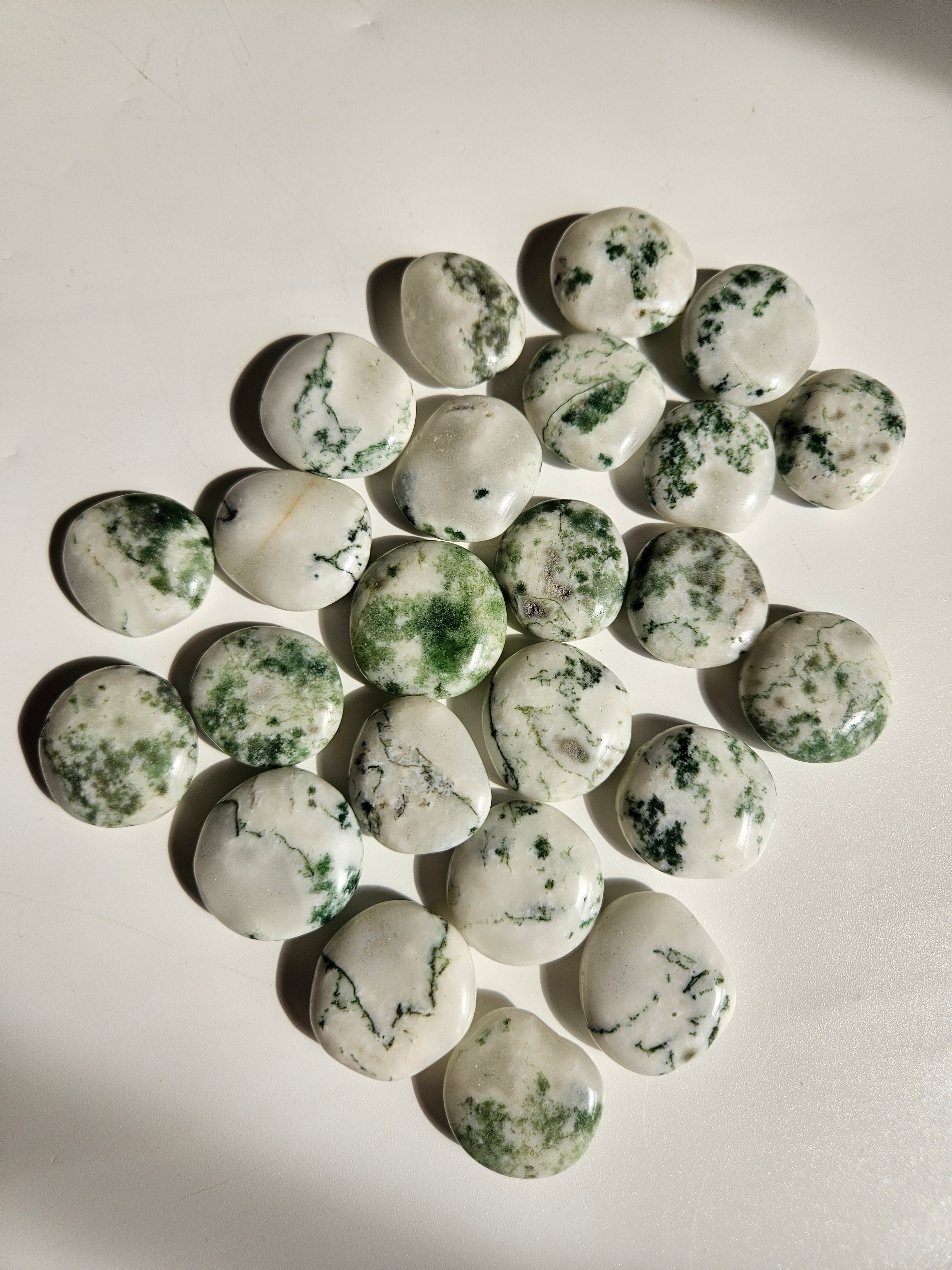 Tree Agate Mini Flat