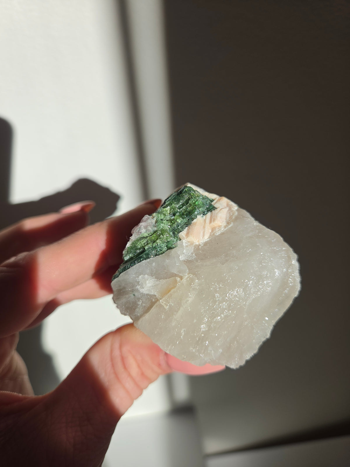 Tourmaline x Quartz Specimen 011