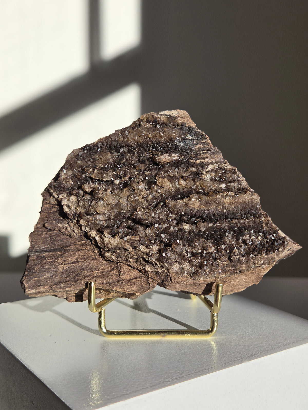 Smoky Quartz on Fossilized Wood 006