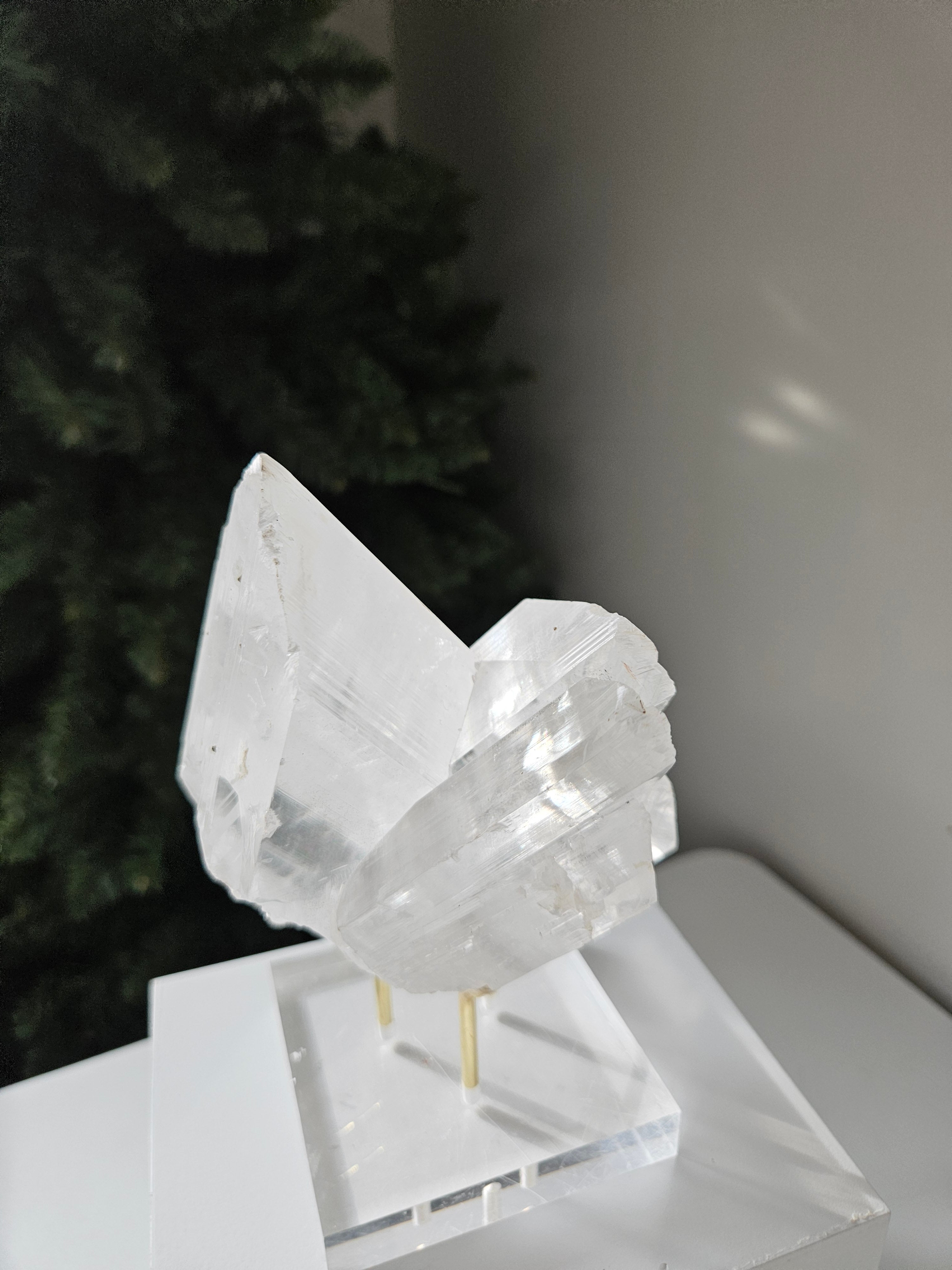 Naica Selenite 004