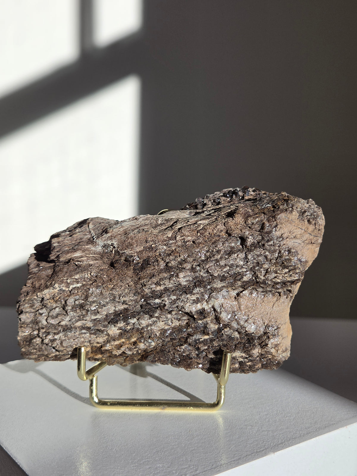 Smoky Quartz on Fossilized Wood 005