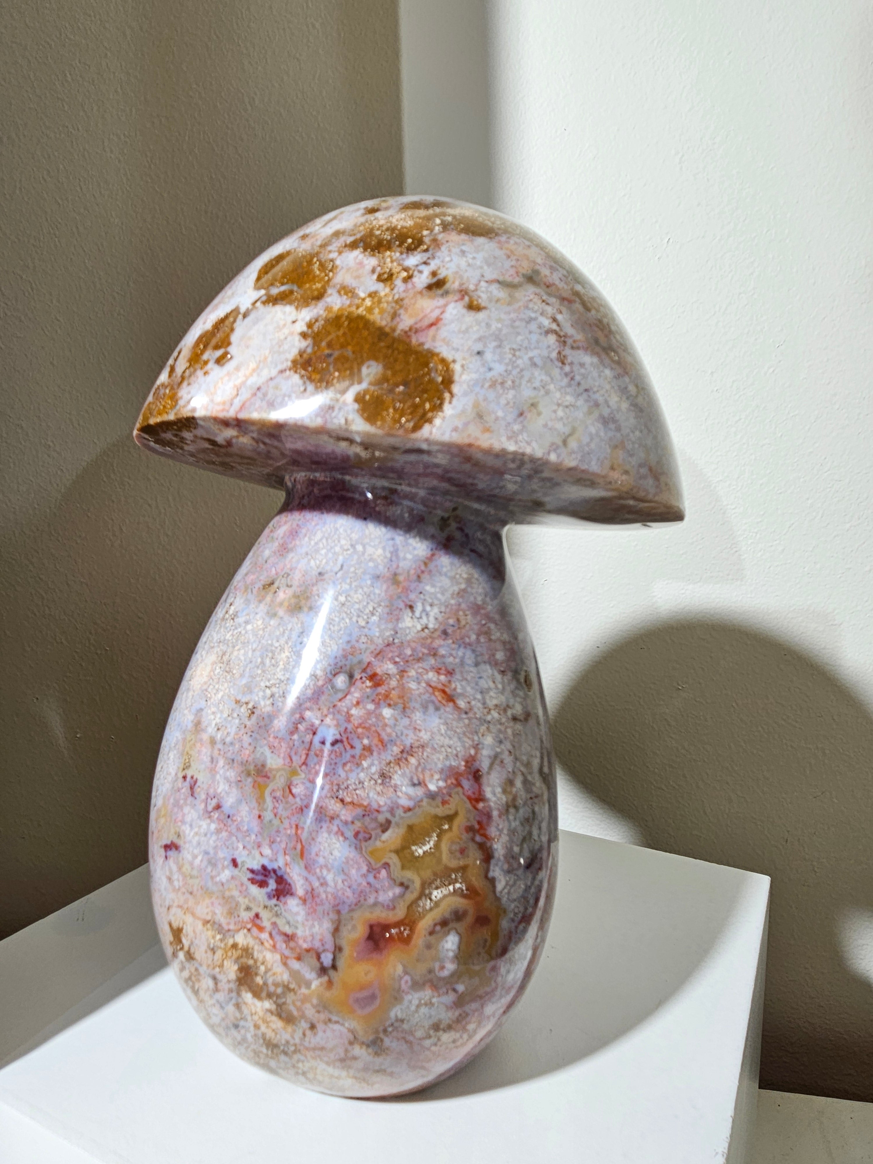 Sea Jasper Mushroom 013