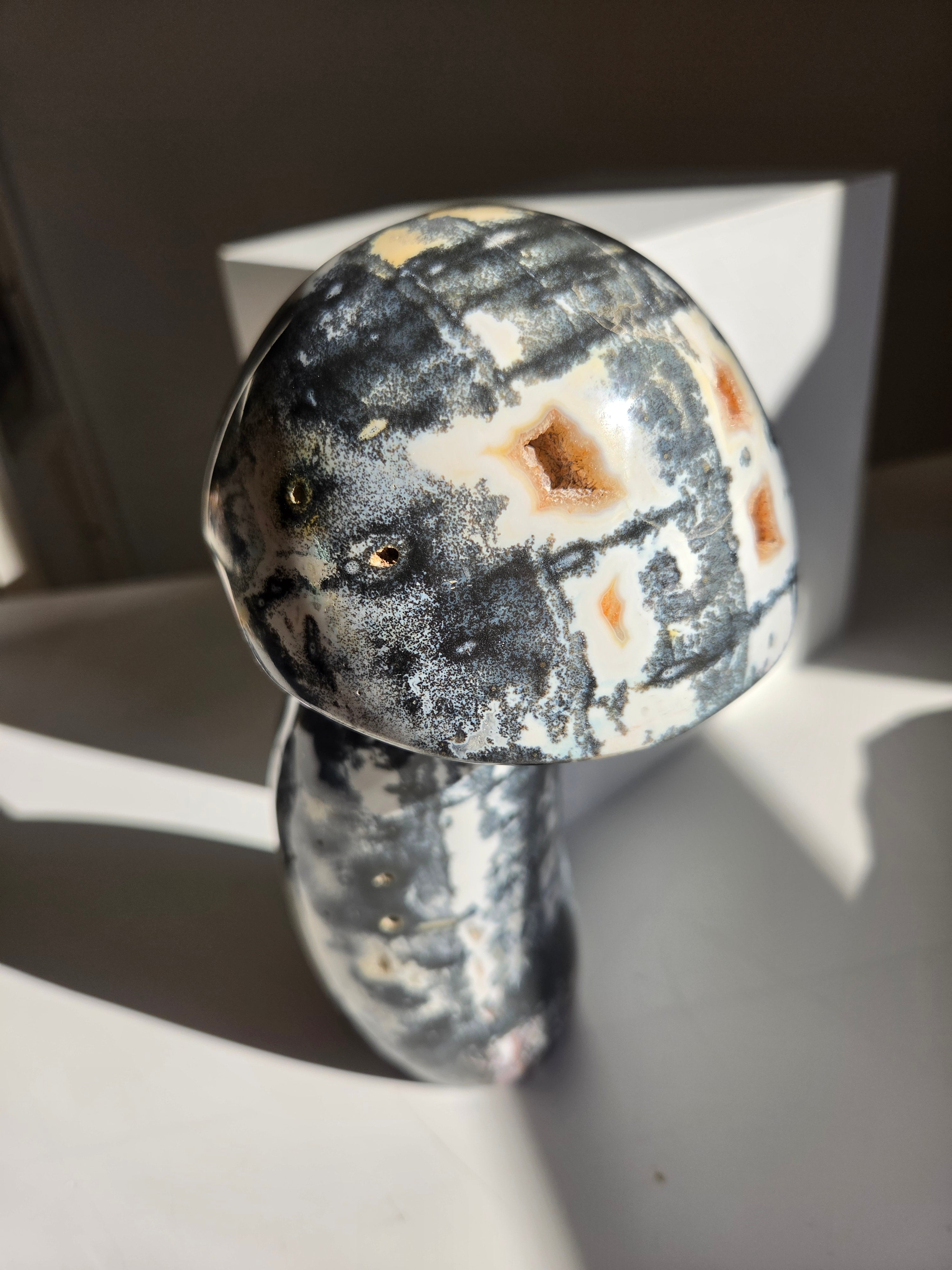 Sea Jasper Mushroom 013