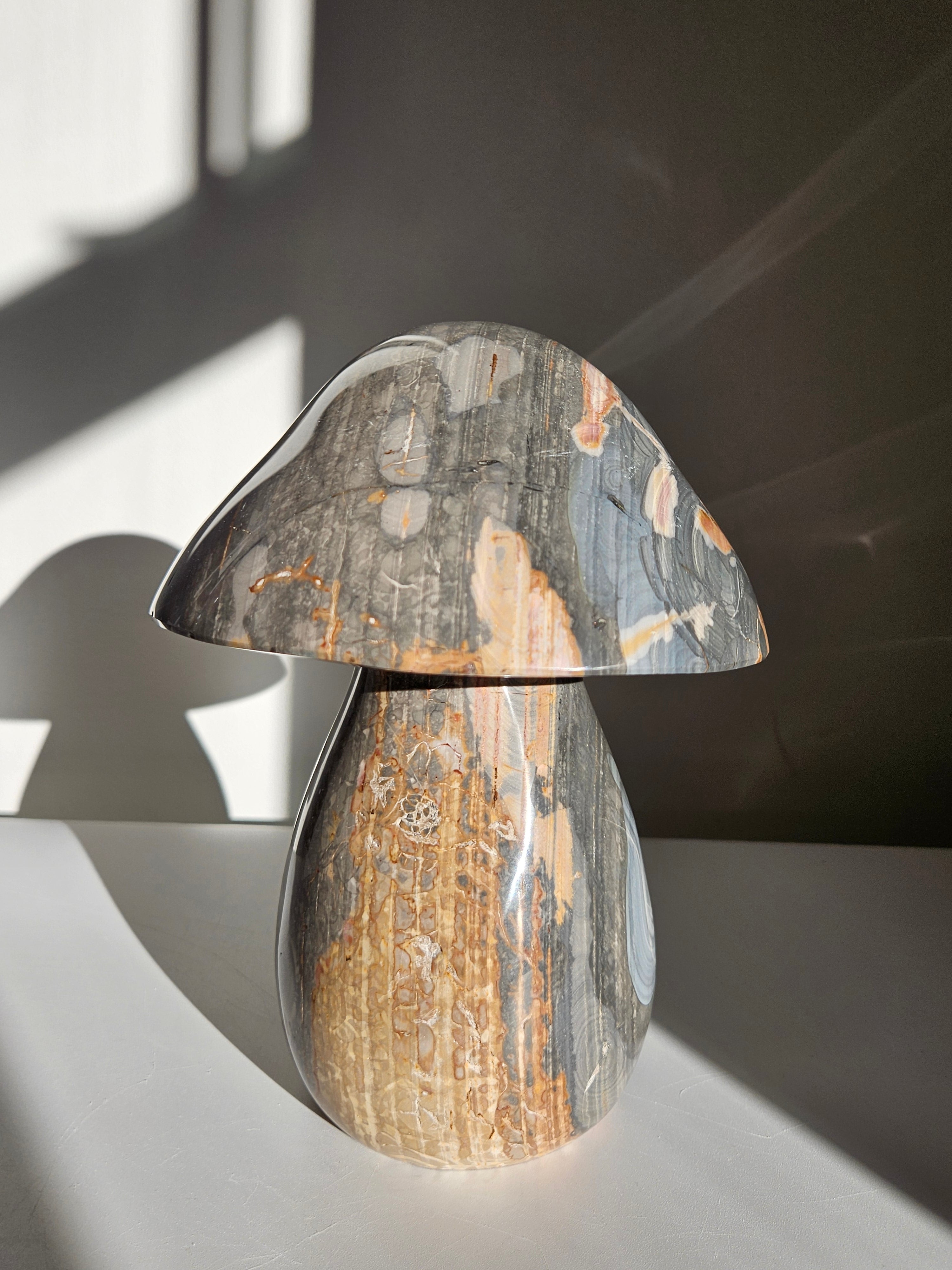 Polychrome Jasper Statement Mushroom 003