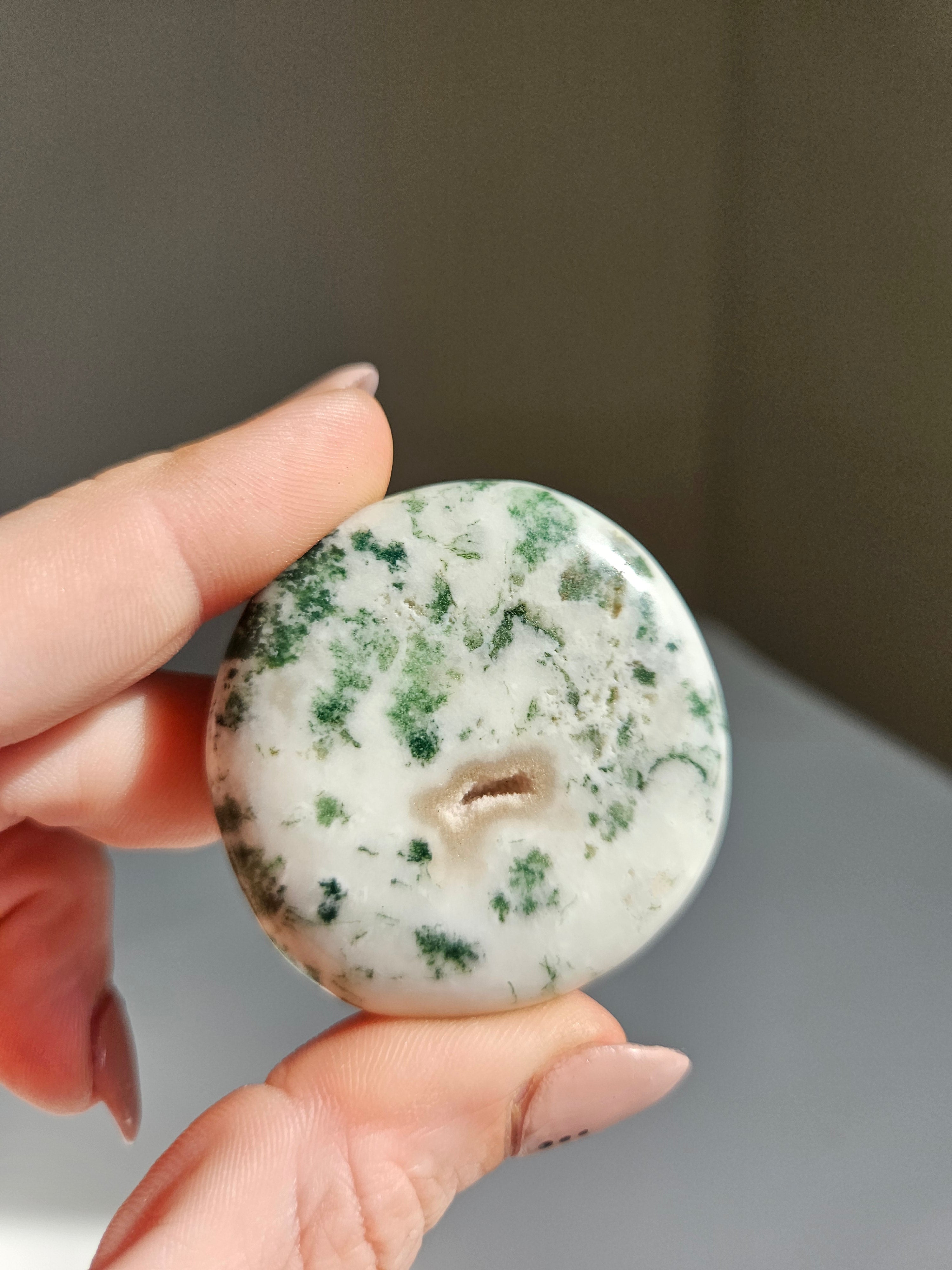Tree Agate Flat 004