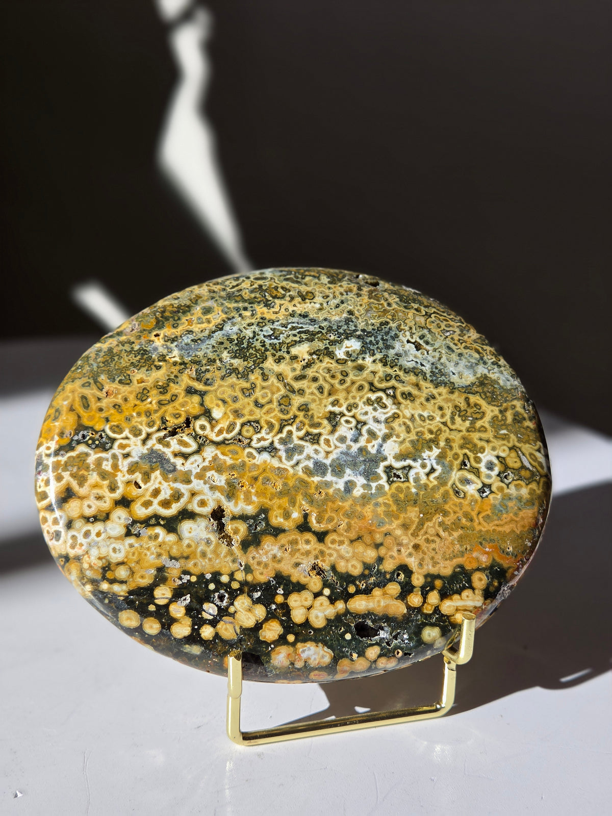Sea Jasper Slab 010