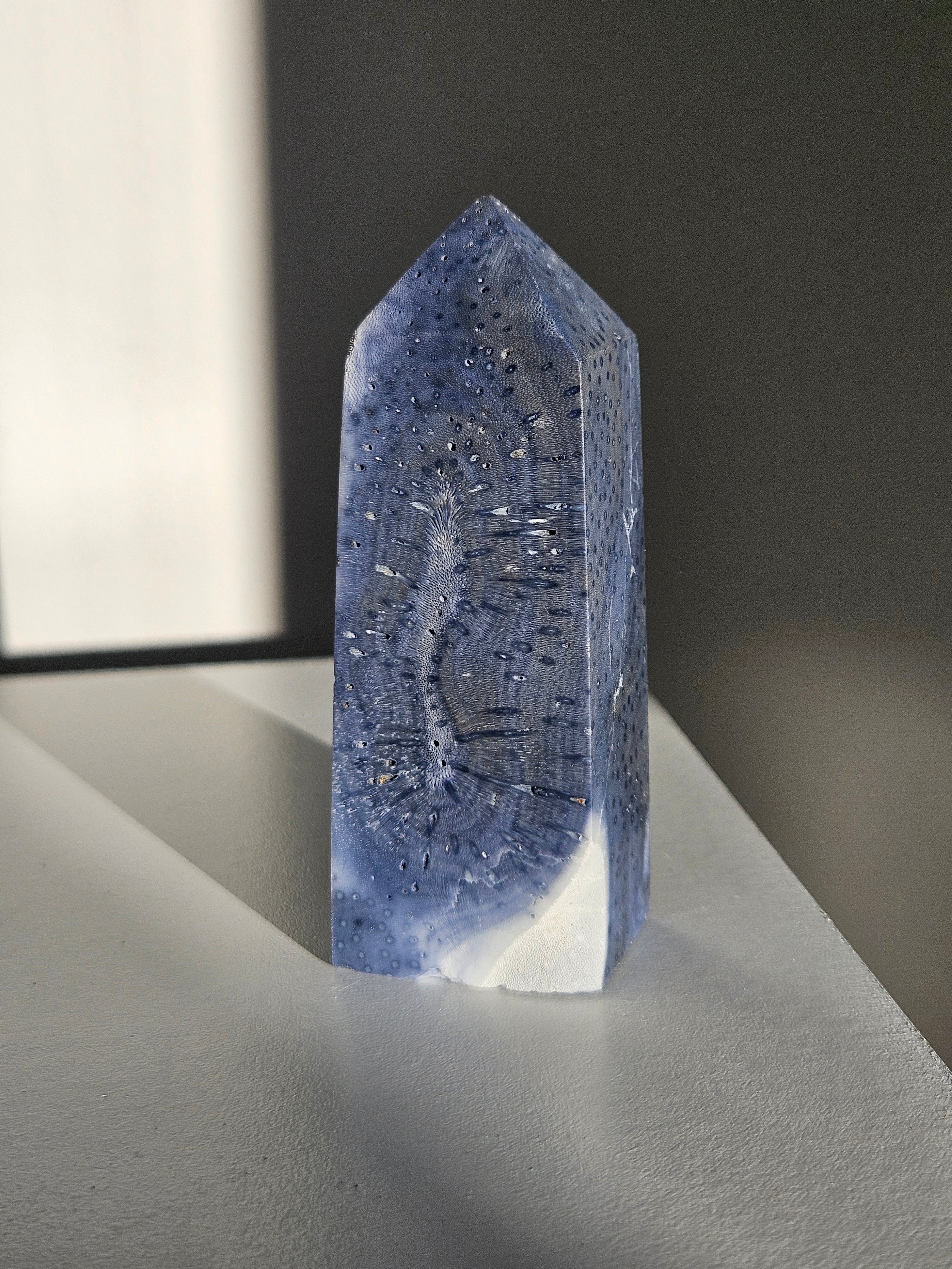 Blue Coral Tower 002