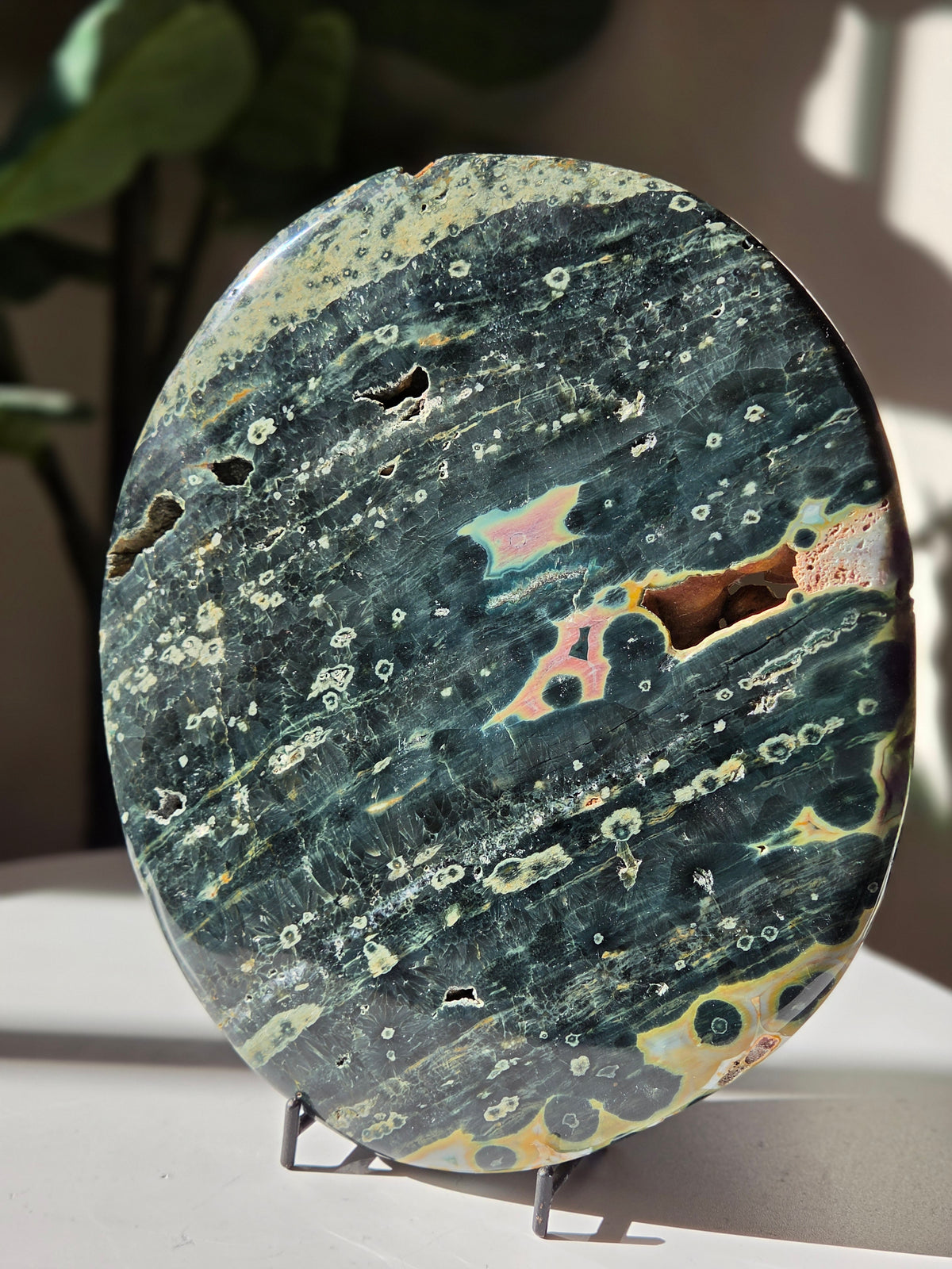Sea Jasper Slab 014