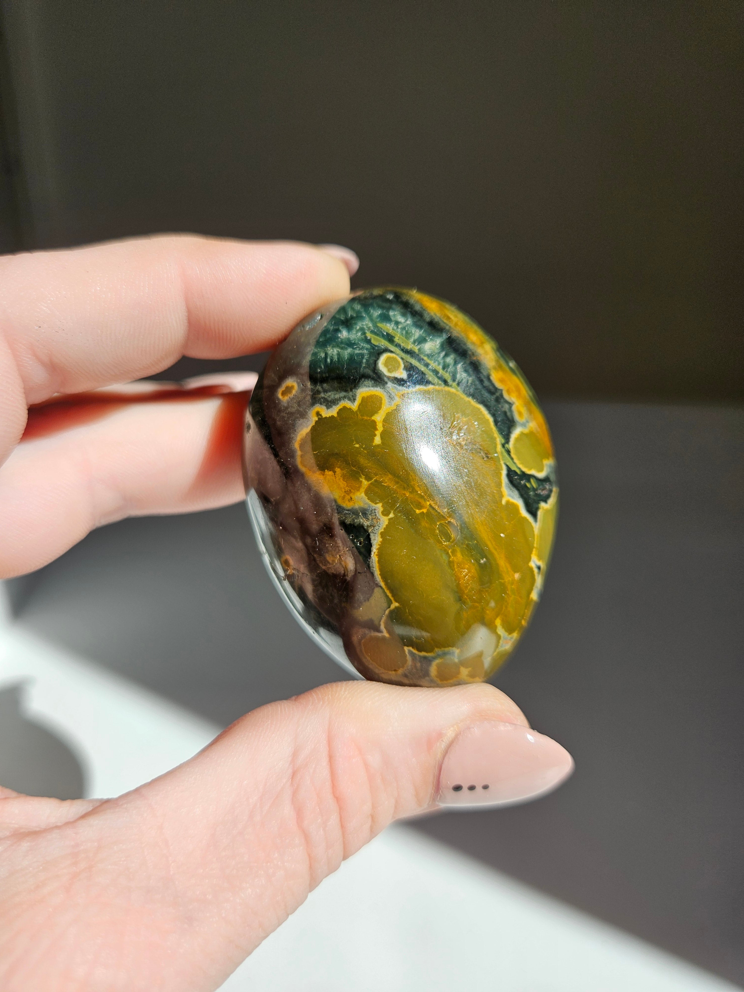 Sea Jasper Palmstone 027