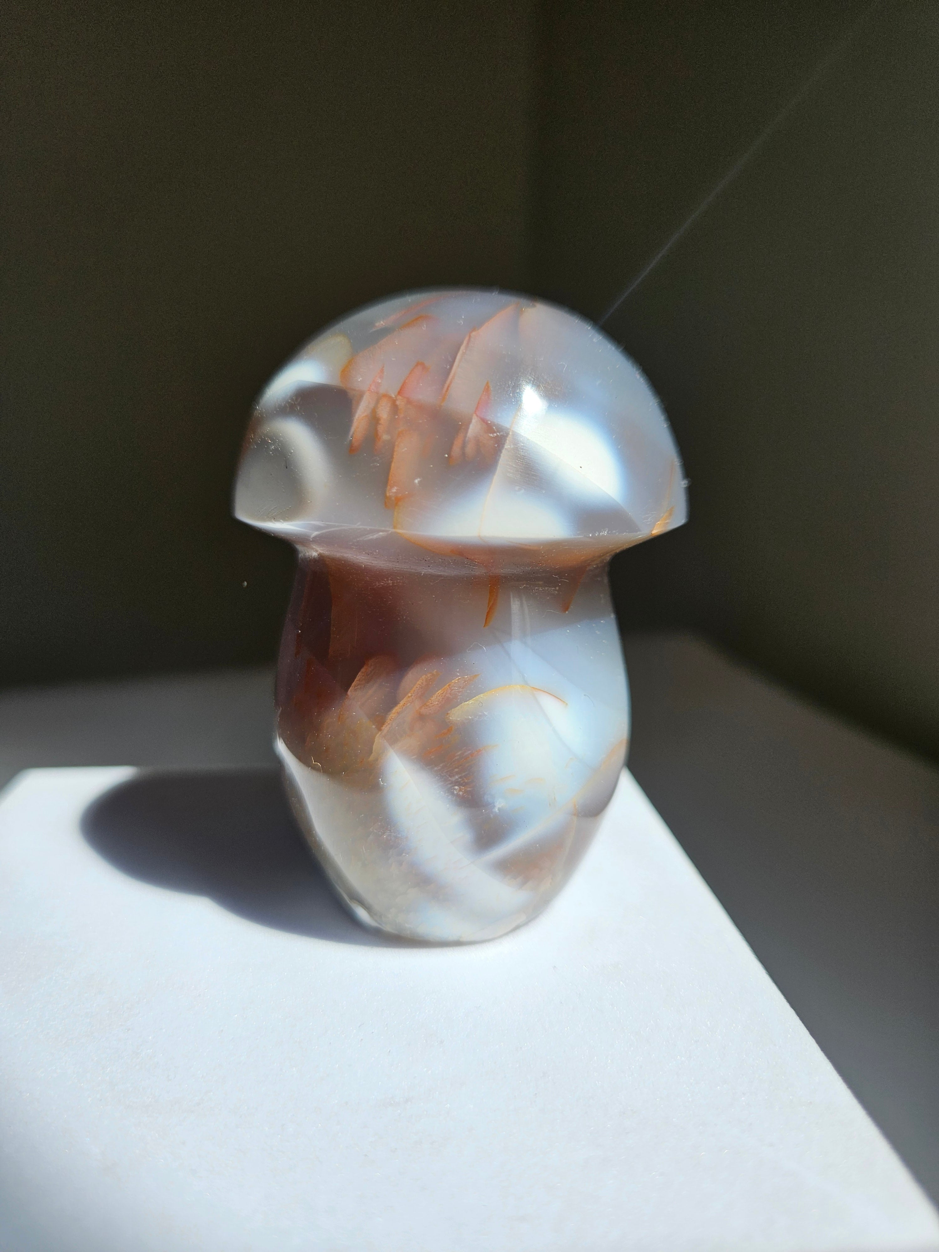 Orca Agate Mushroom 011