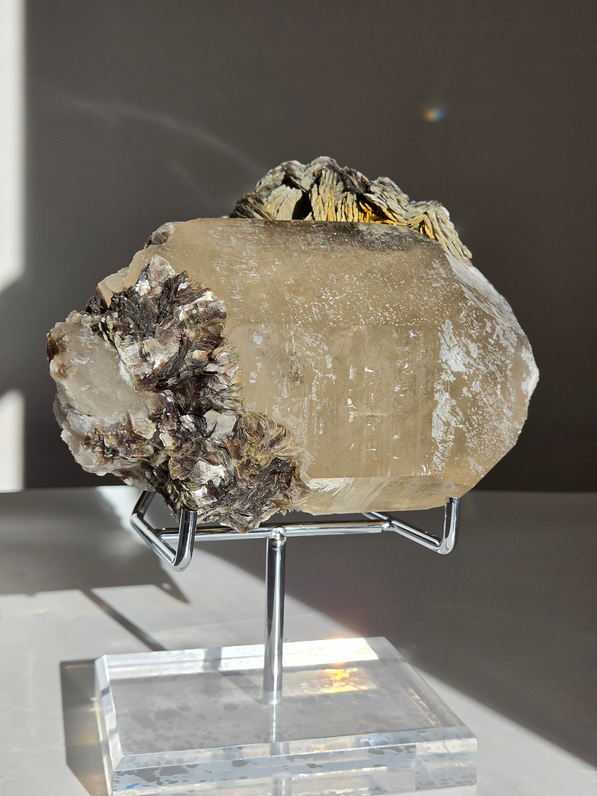 Quartz x Golden Mica on stand 009