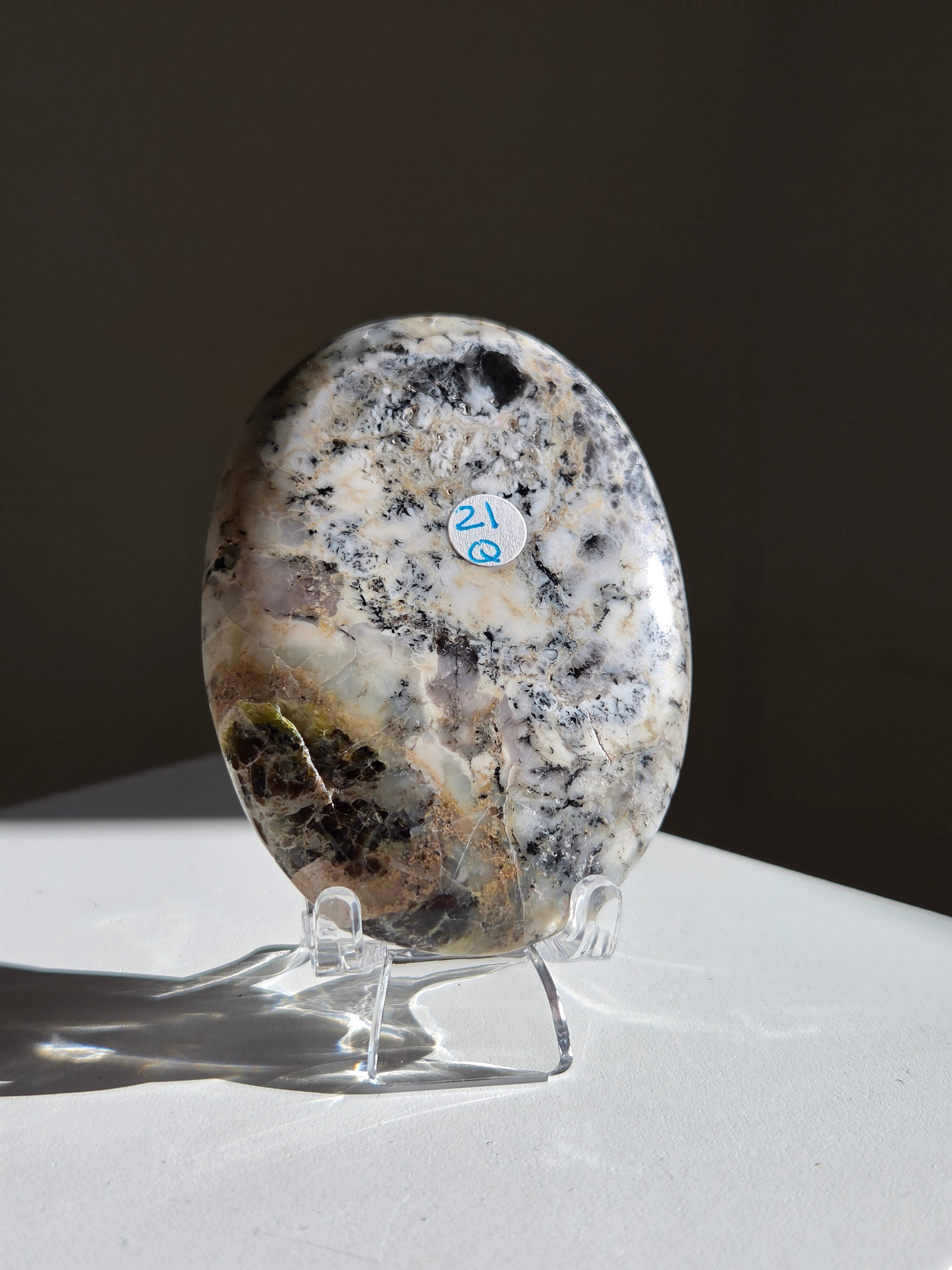 Dendritic Opal Palm 007