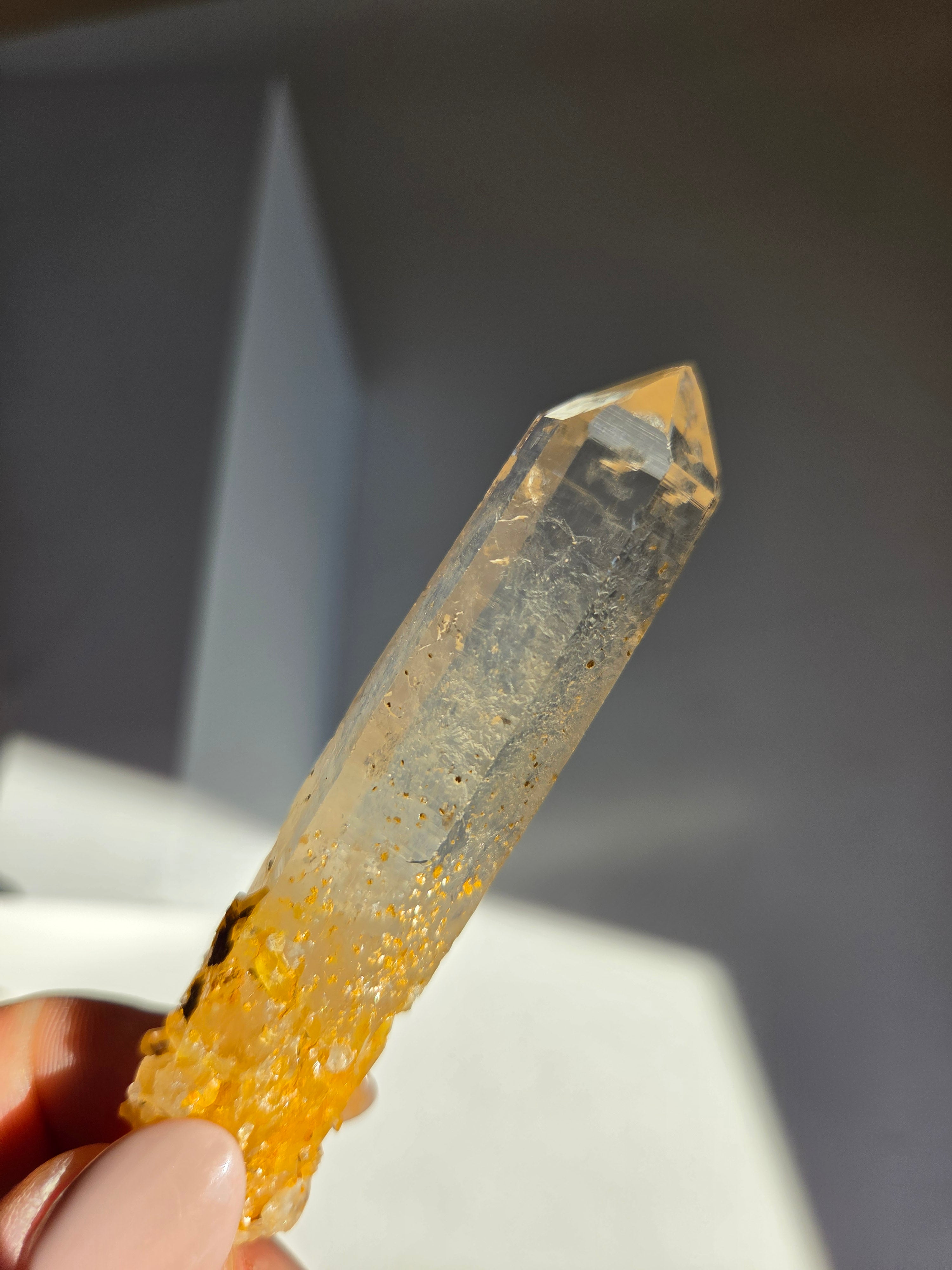 Blue Smoke Colombian Lemurian 006