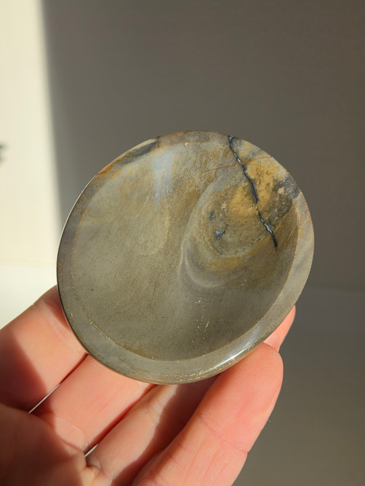 Polychrome Jasper Bowl 017