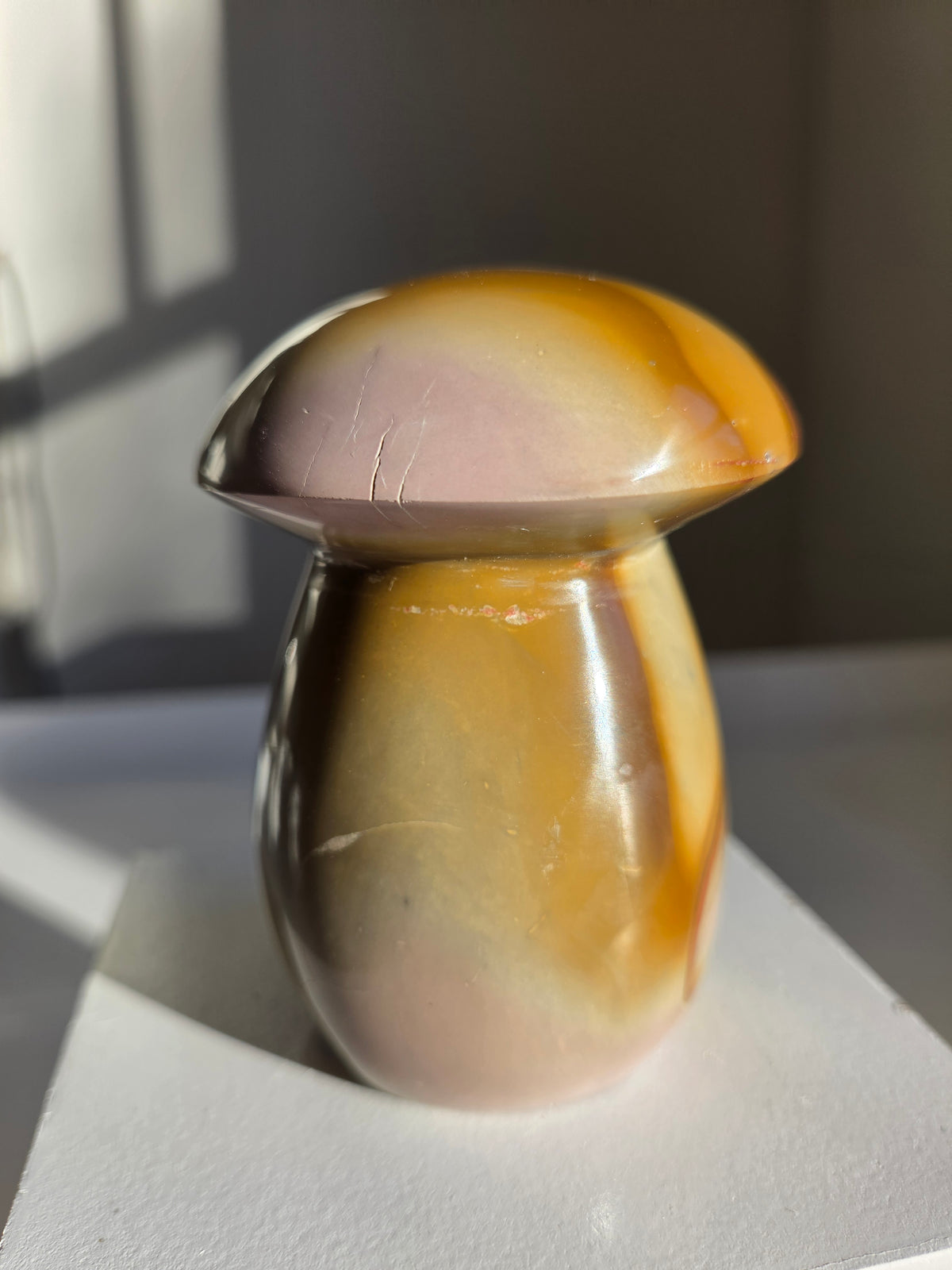 Polychrome Jasper Mushroom 004