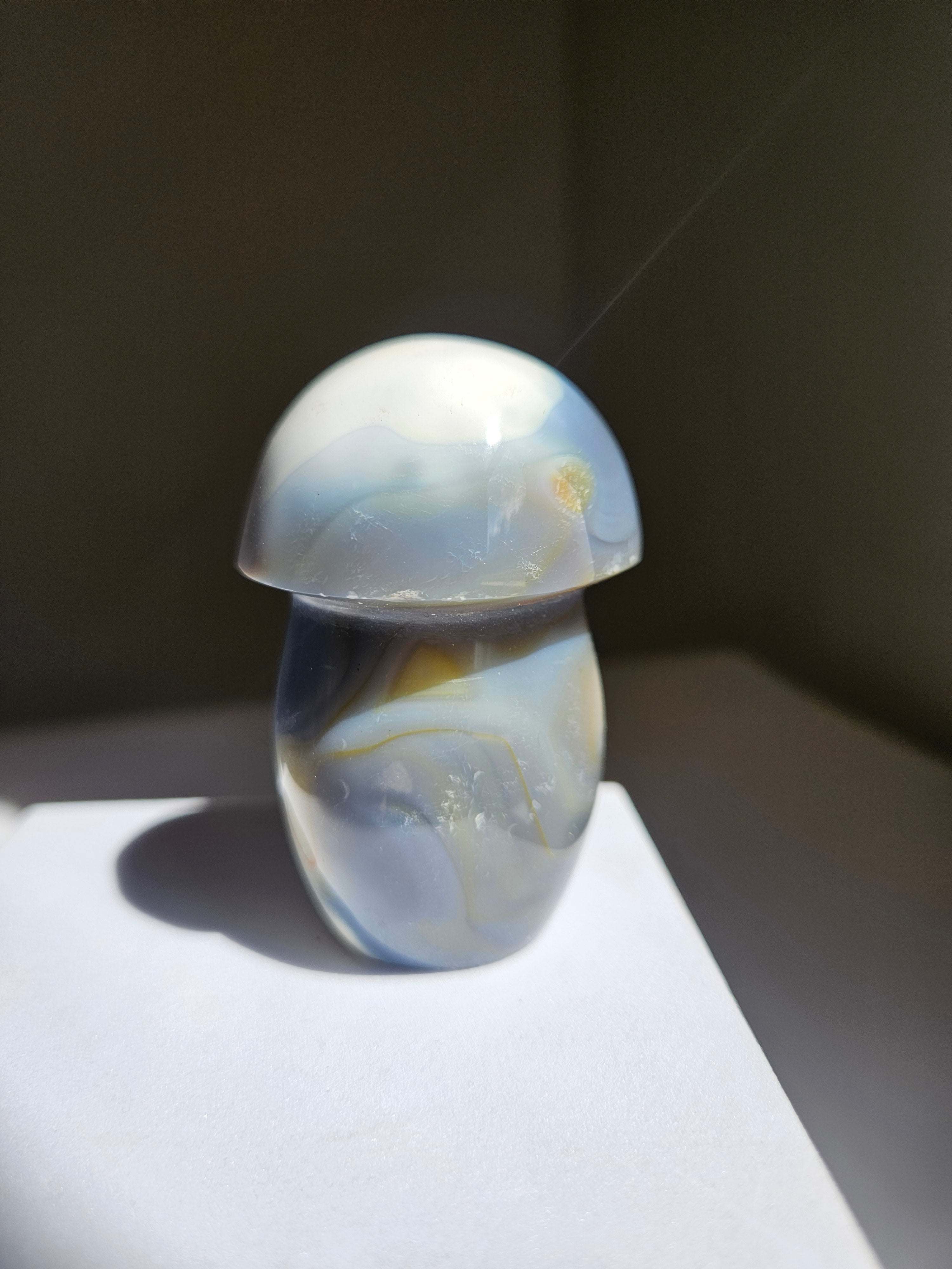 Orca Agate Mushroom 013