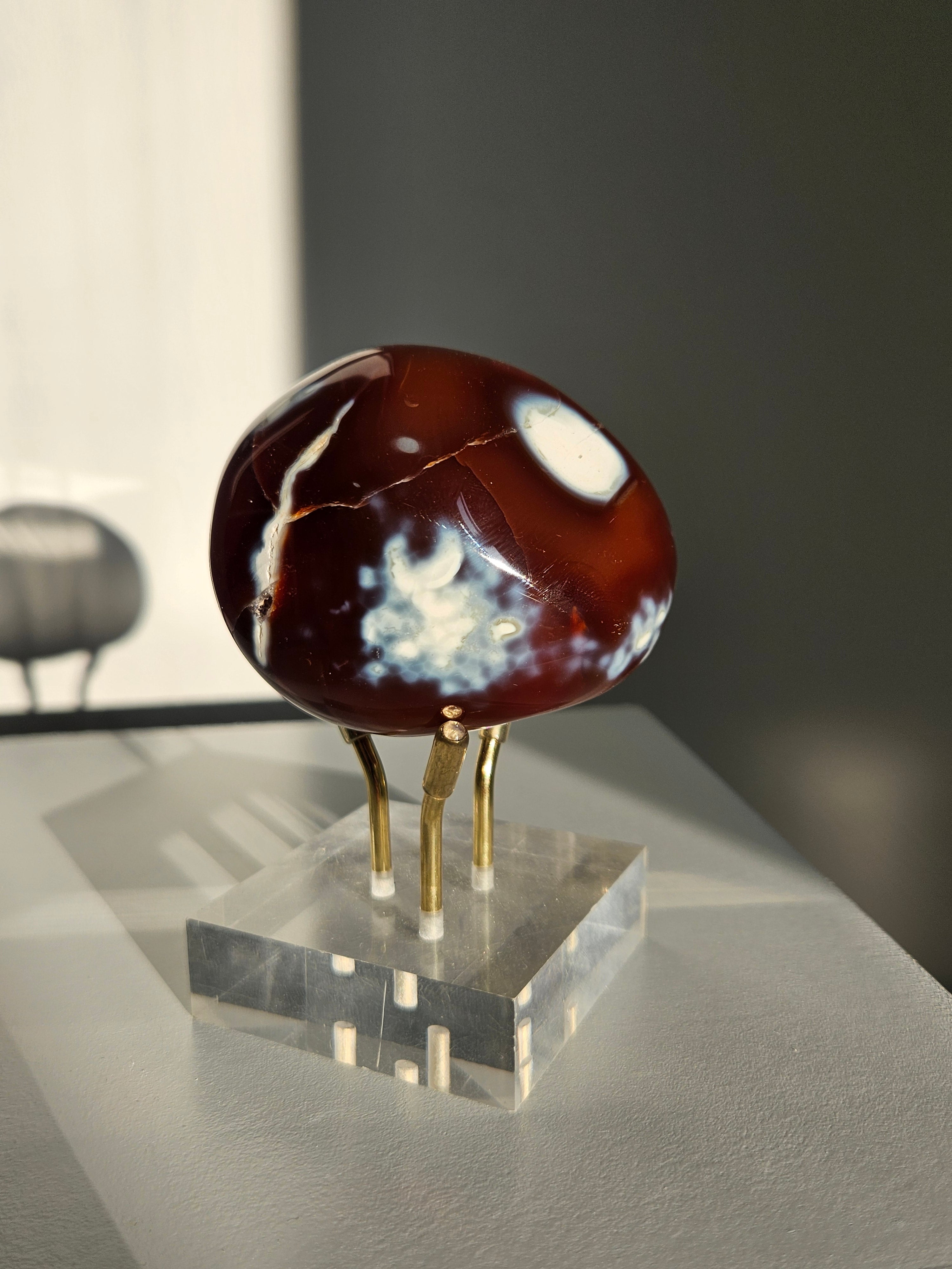 Orca agate x Carnelian Freeform 012