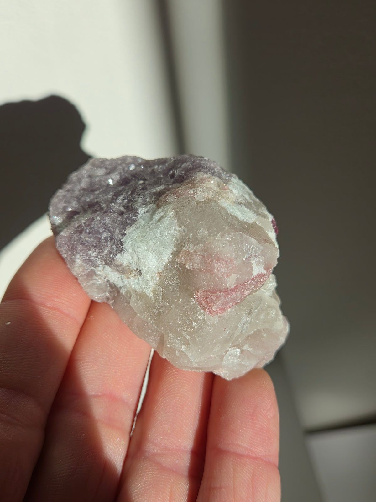 Tourmaline x Quartz Specimen 005