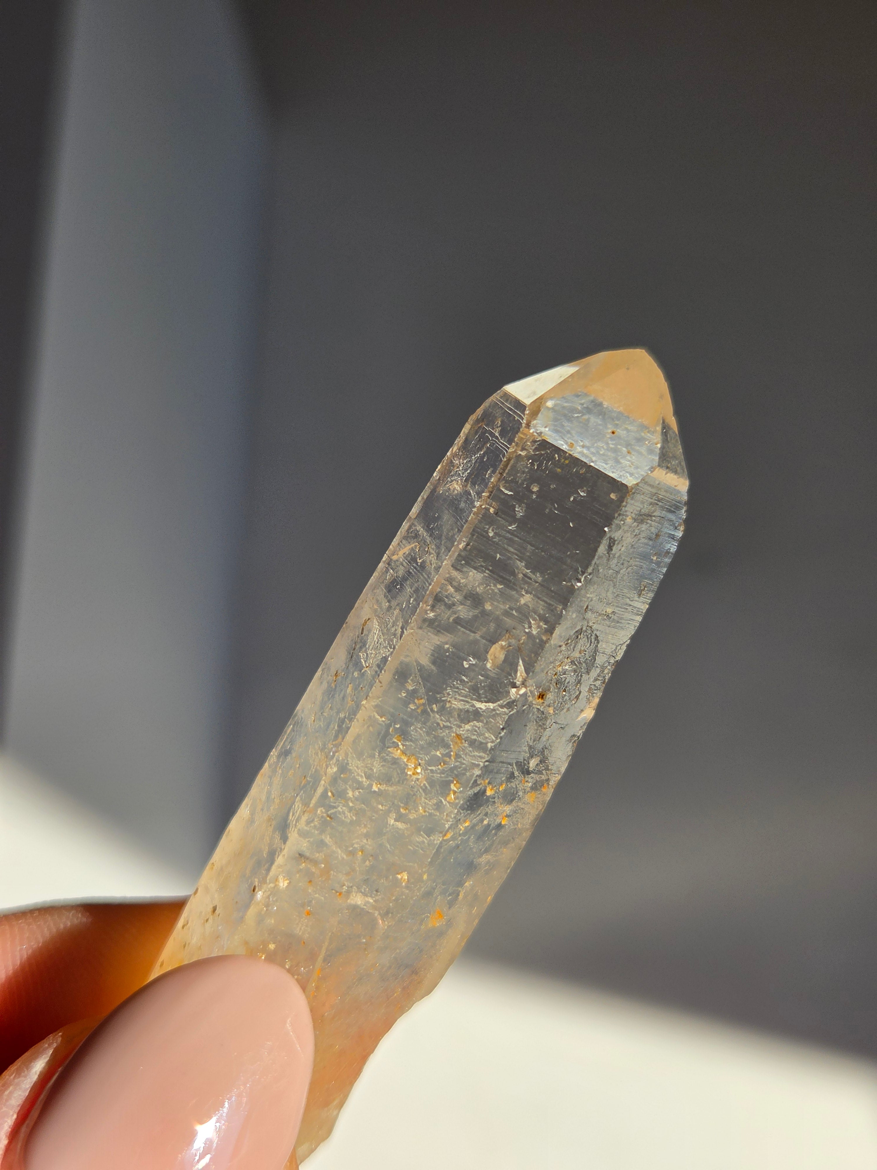Blue Smoke Colombian Lemurian 007