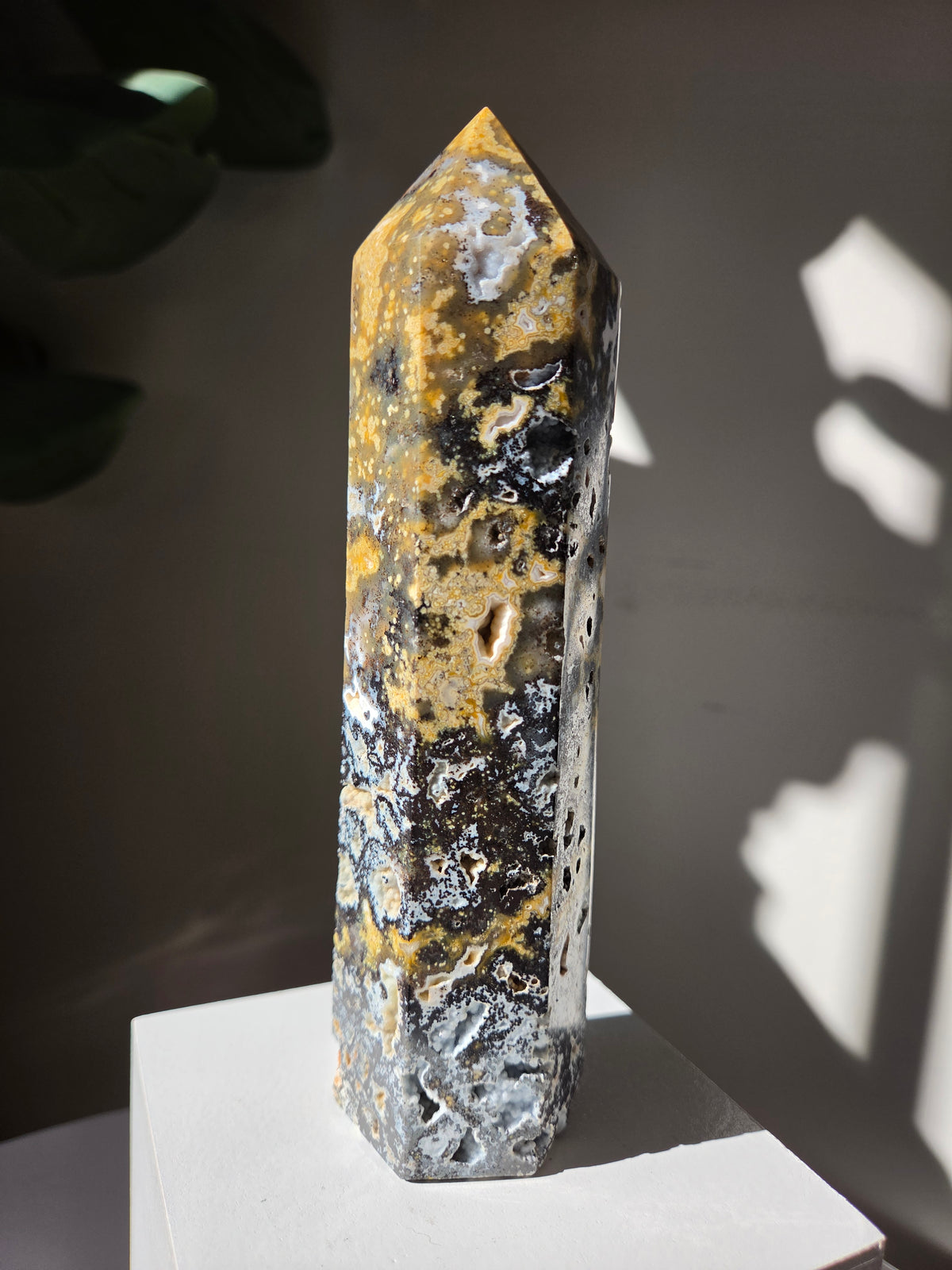 Sea Jasper Tower 006