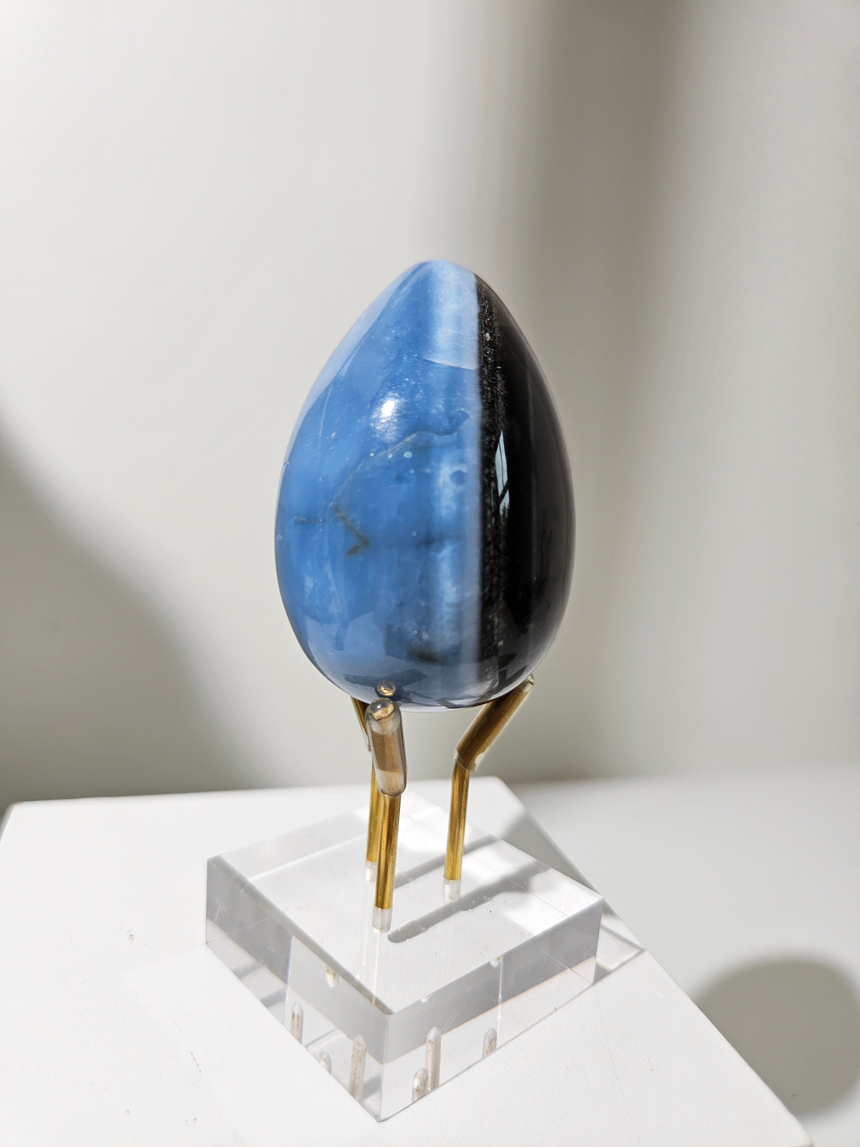 Owyhee Blue Opal Egg 010