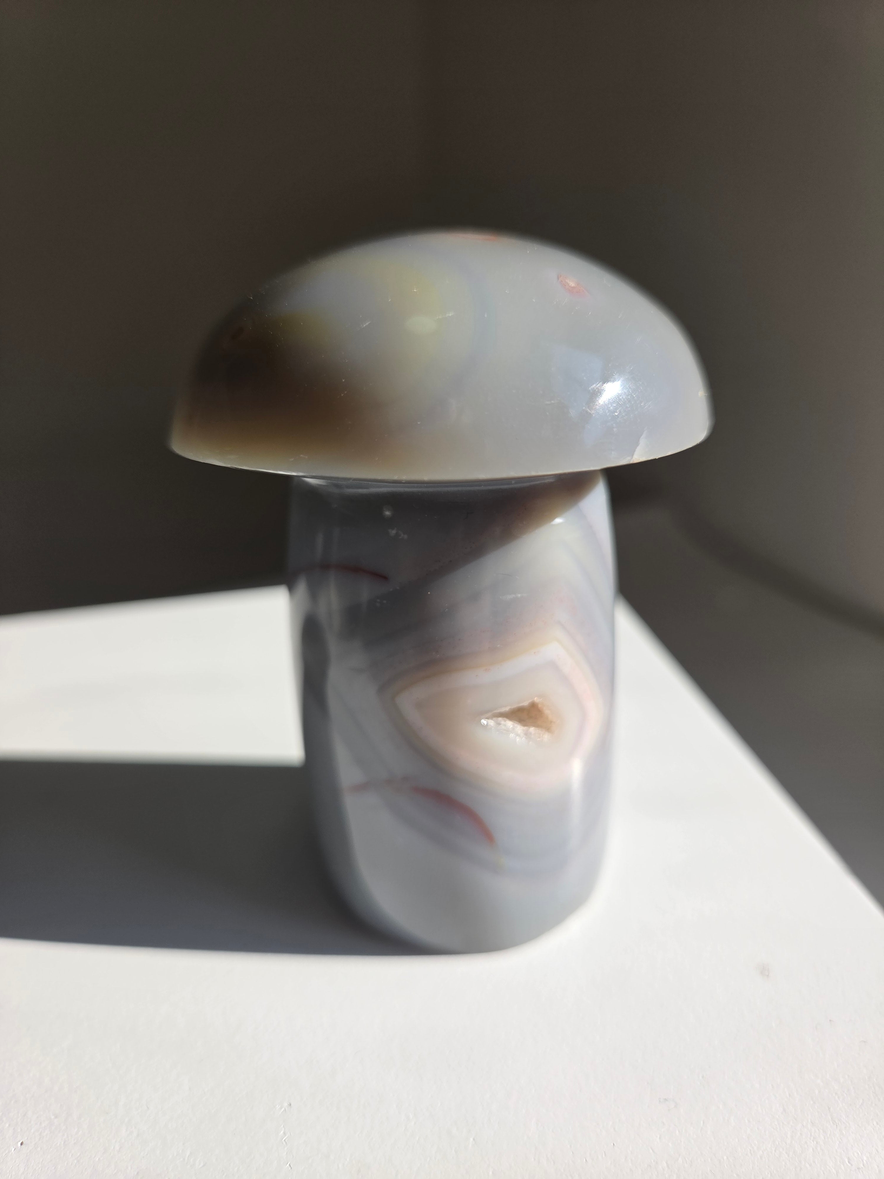 Orca Agate Mushroom 002