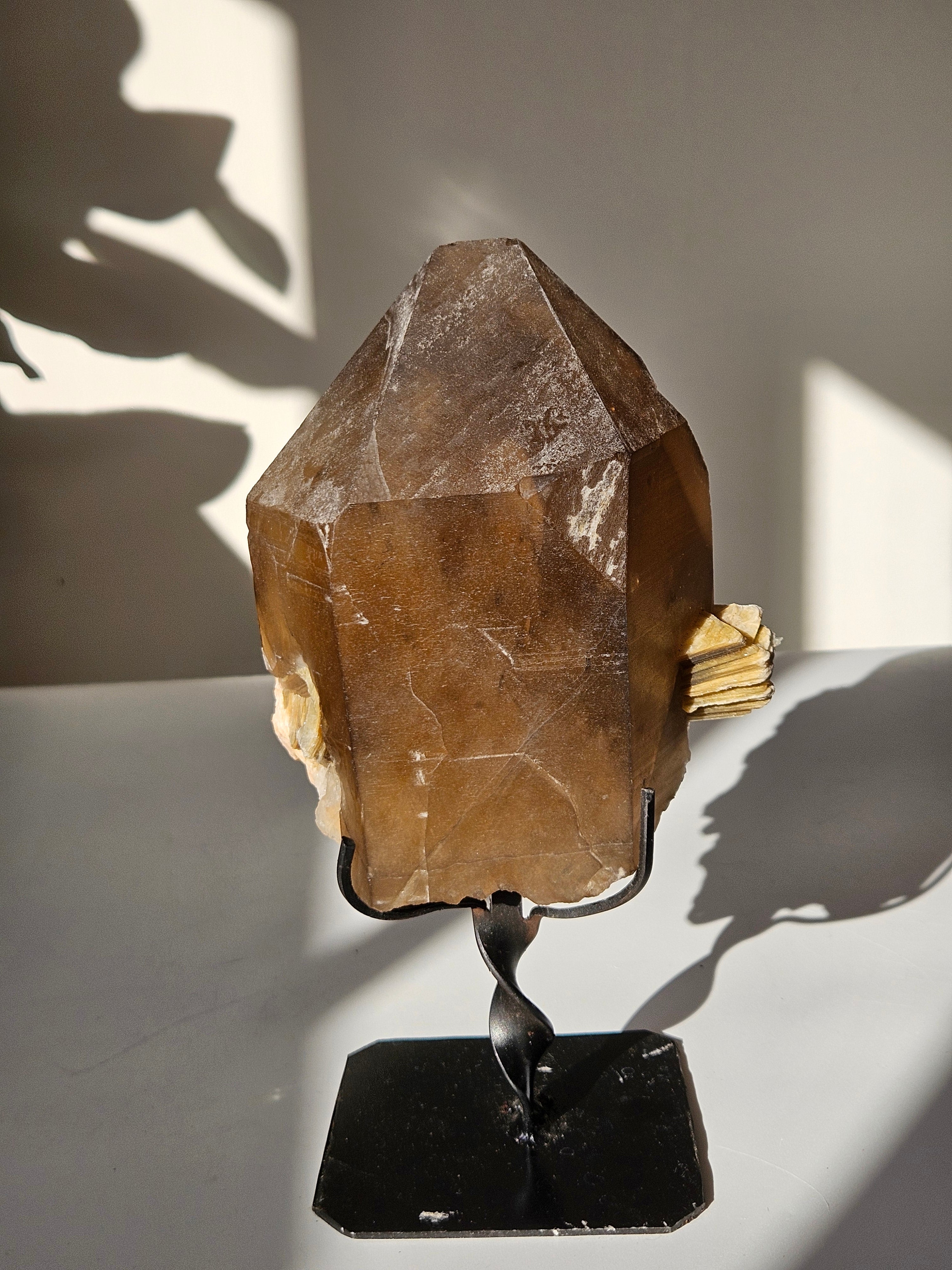 Smoky Quartz x Mica on Stand