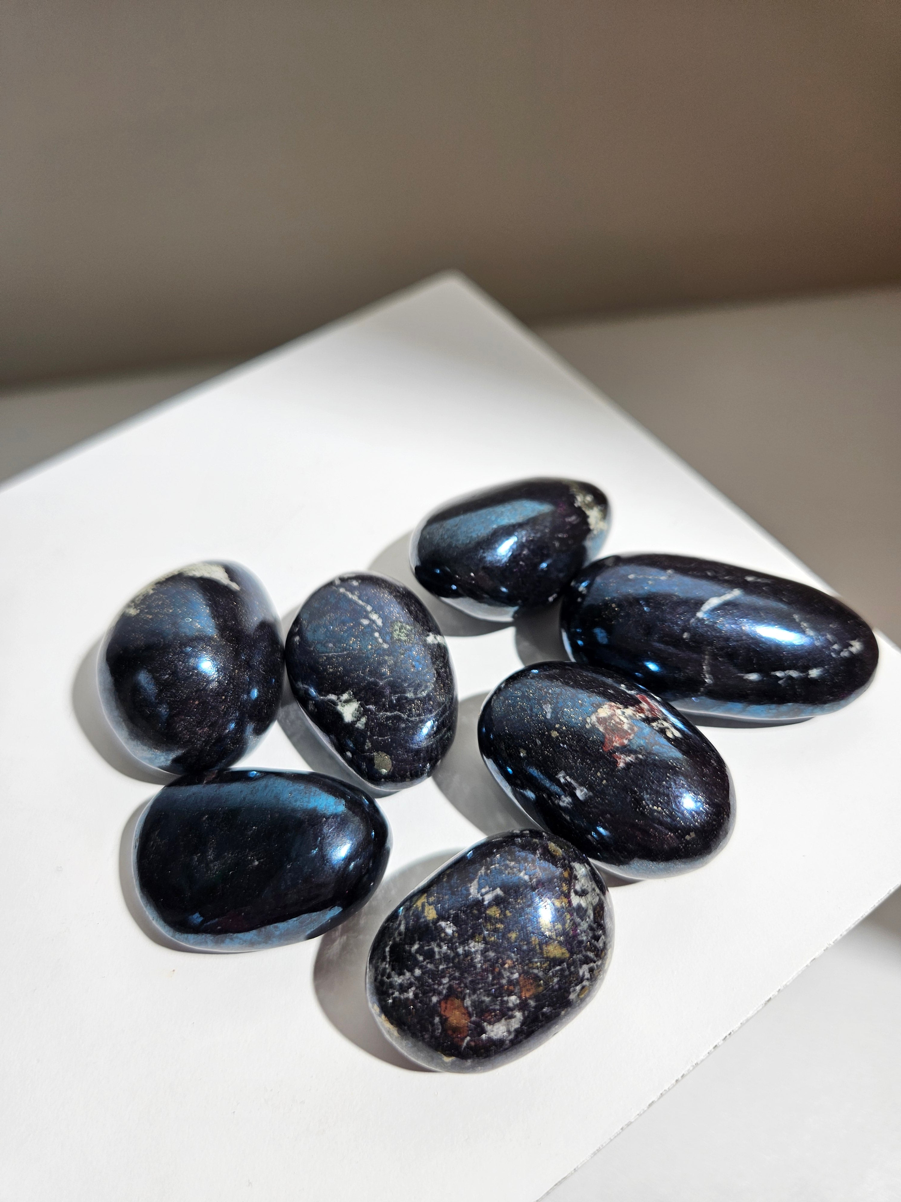 Peruvian Covelite Mini Palm | Intuitively selected