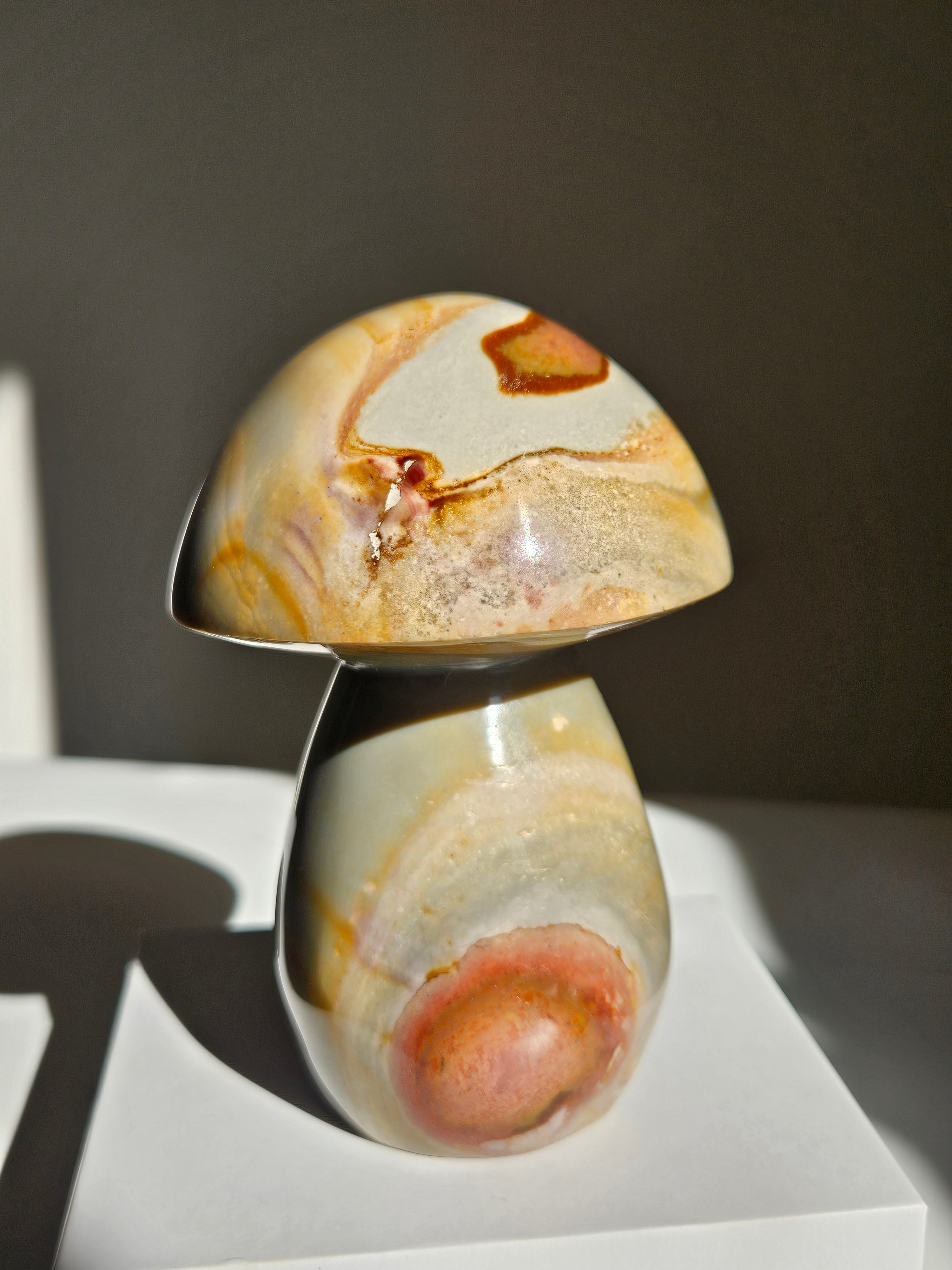 Polychrome Jasper Mushroom 008