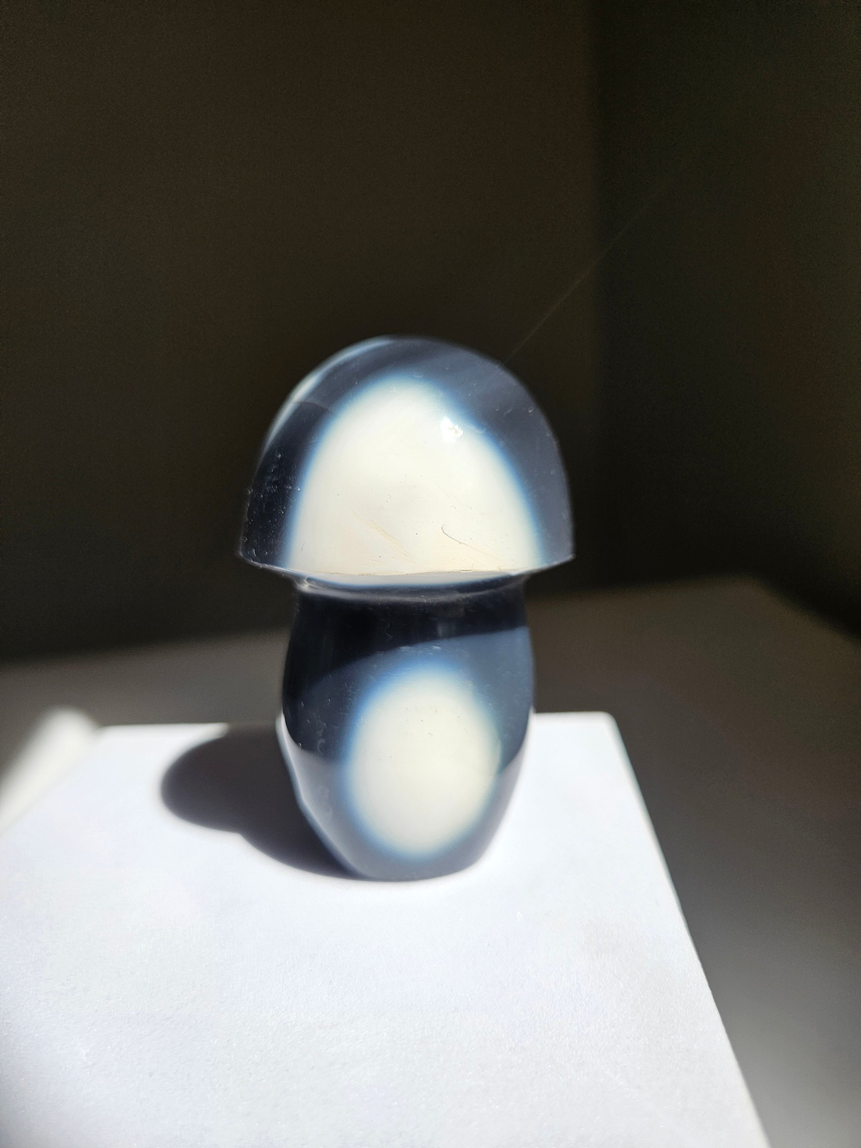 Orca Agate Mushroom 006