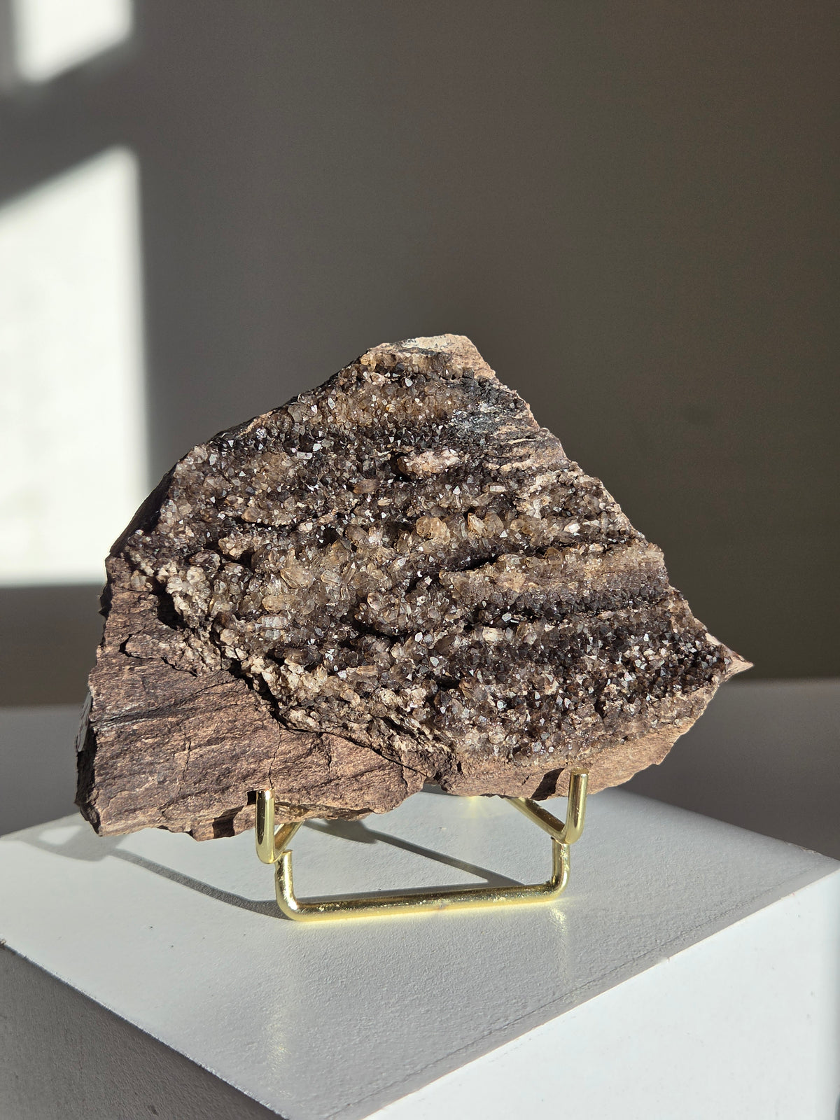 Smoky Quartz on Fossilized Wood 006