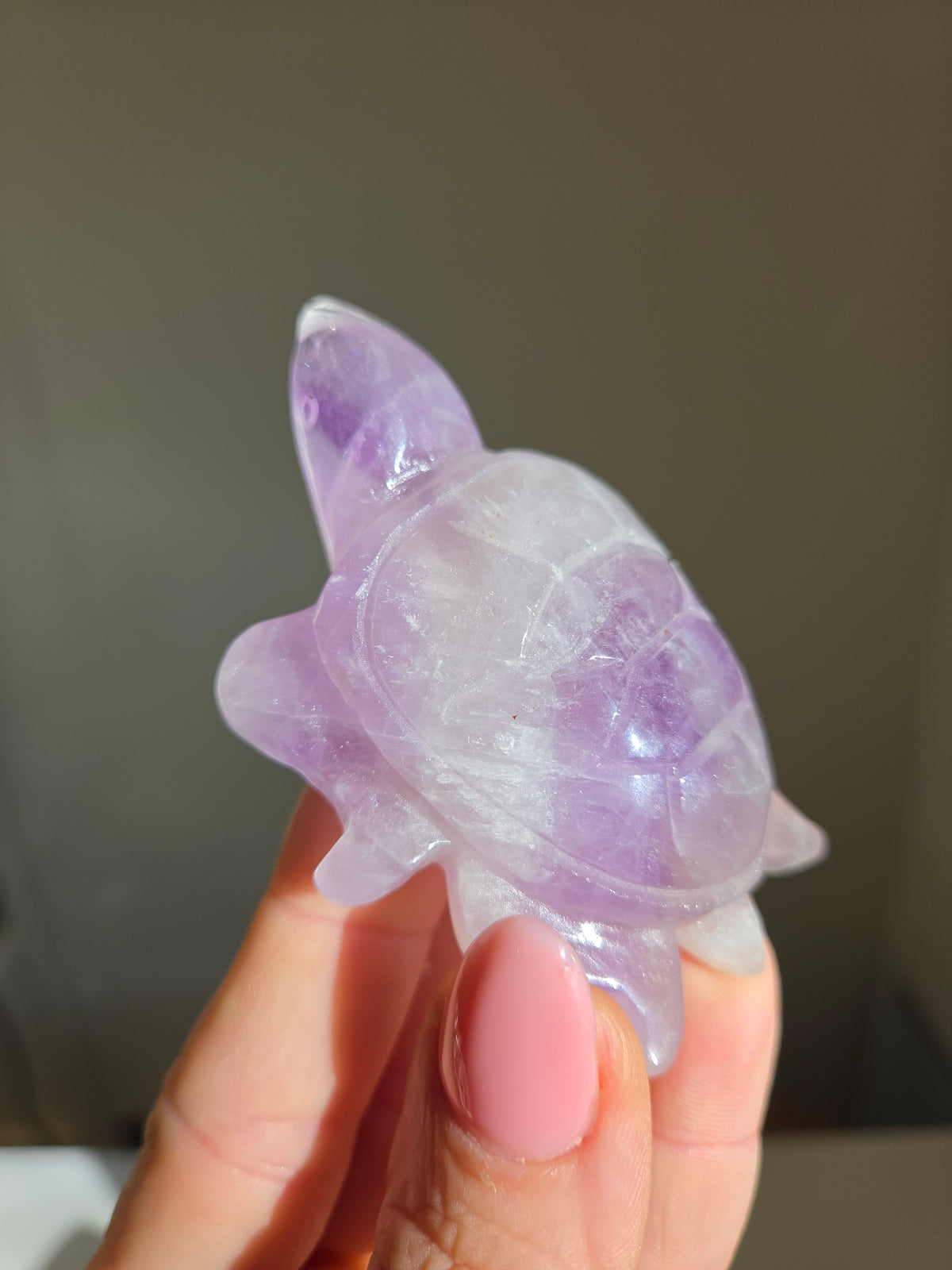 Amethyst Turtle 001