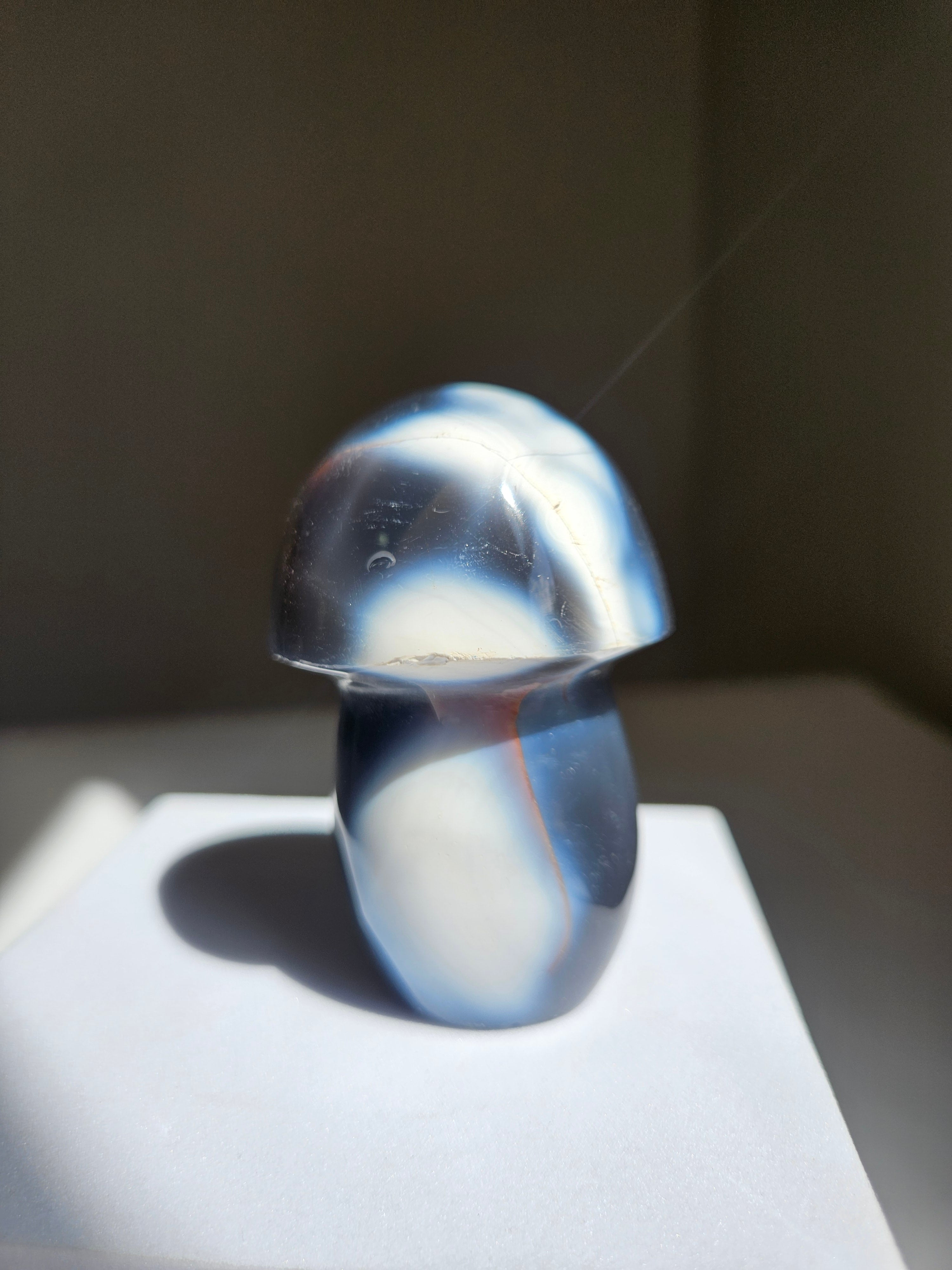 Orca Agate Mushroom 006