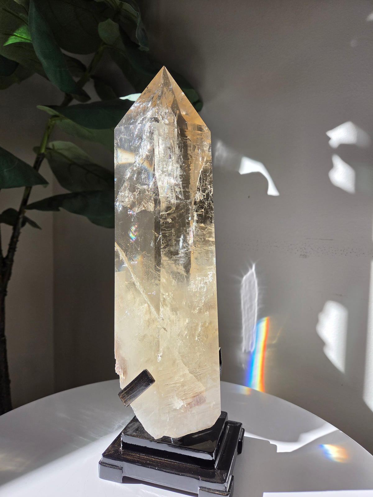Semipolished Citrine Lemurian Statement