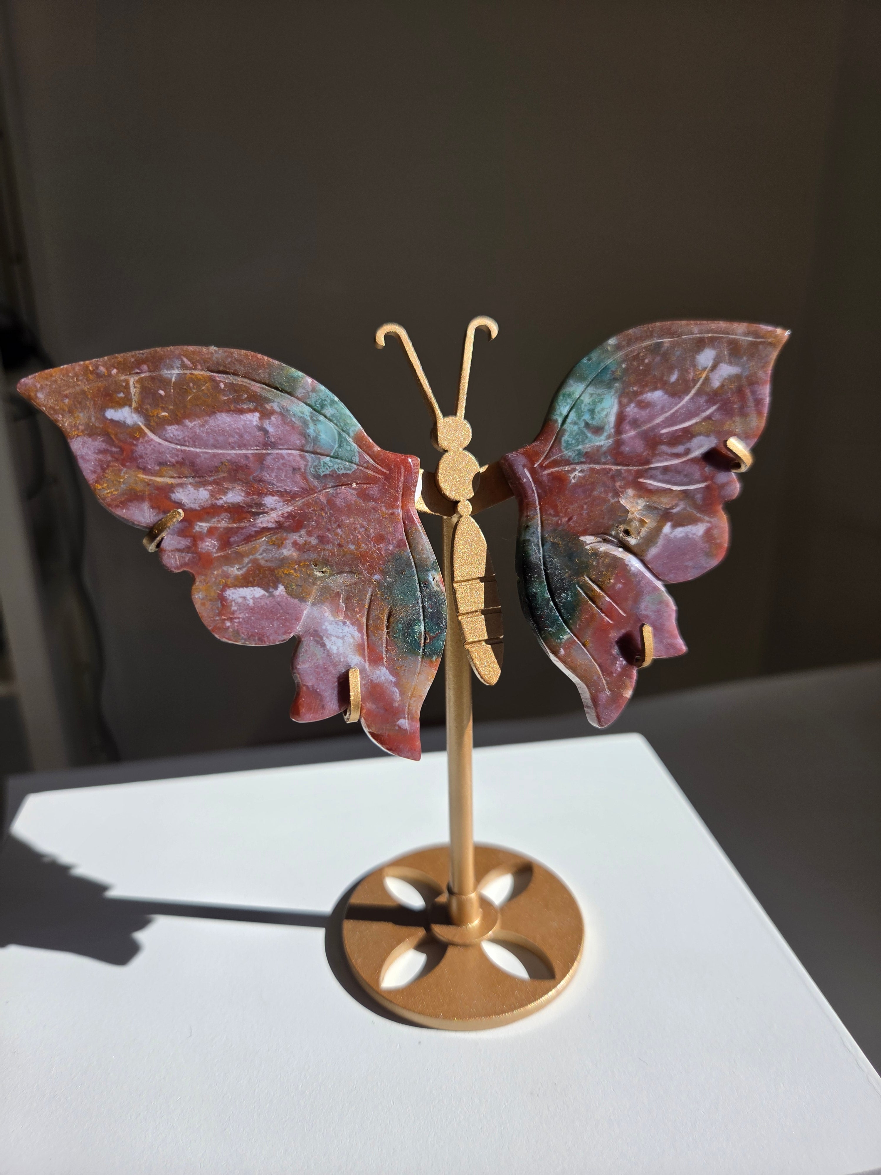 Sea Jasper Butterfly 001
