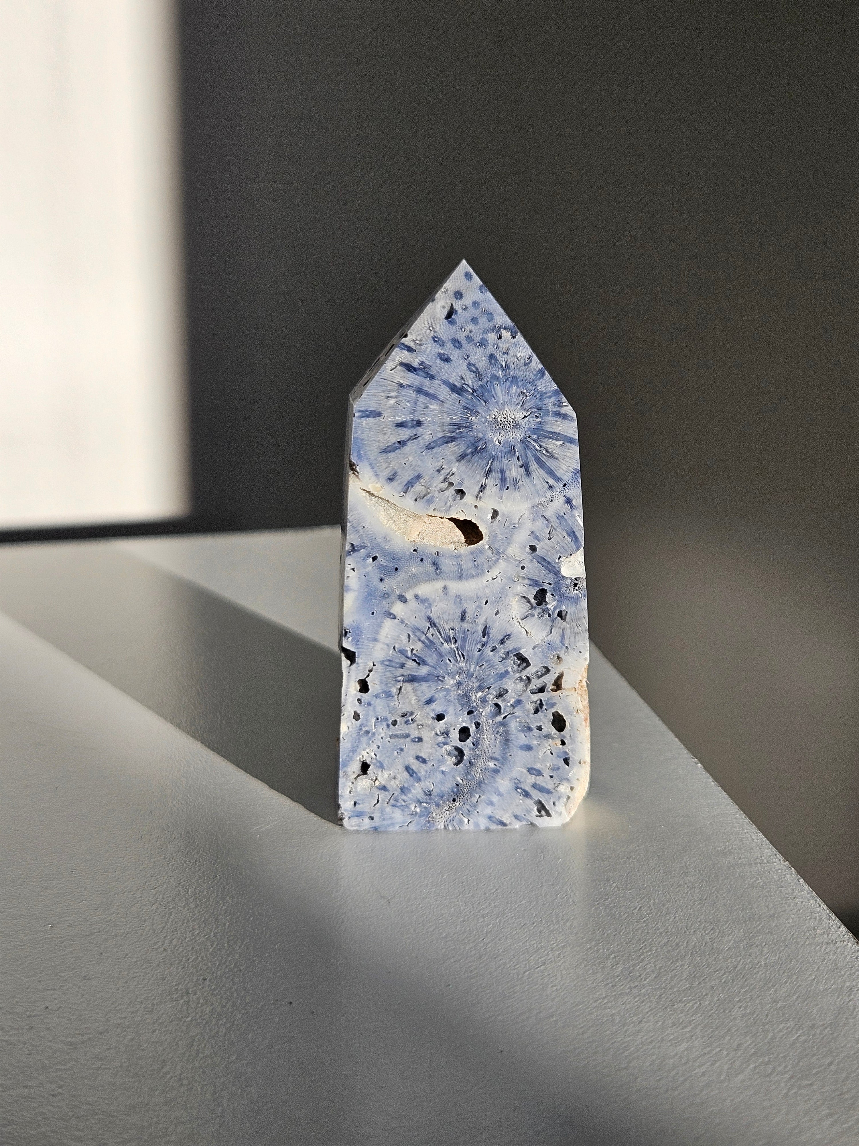 Blue Coral Tower 006