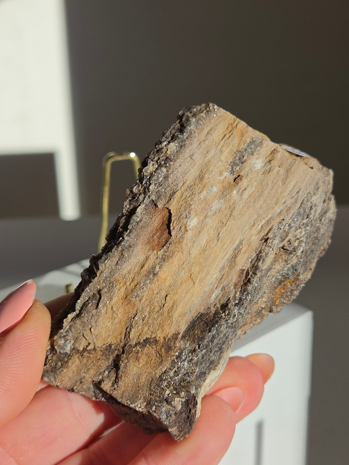 Smoky Quartz on Fossilized Wood 005