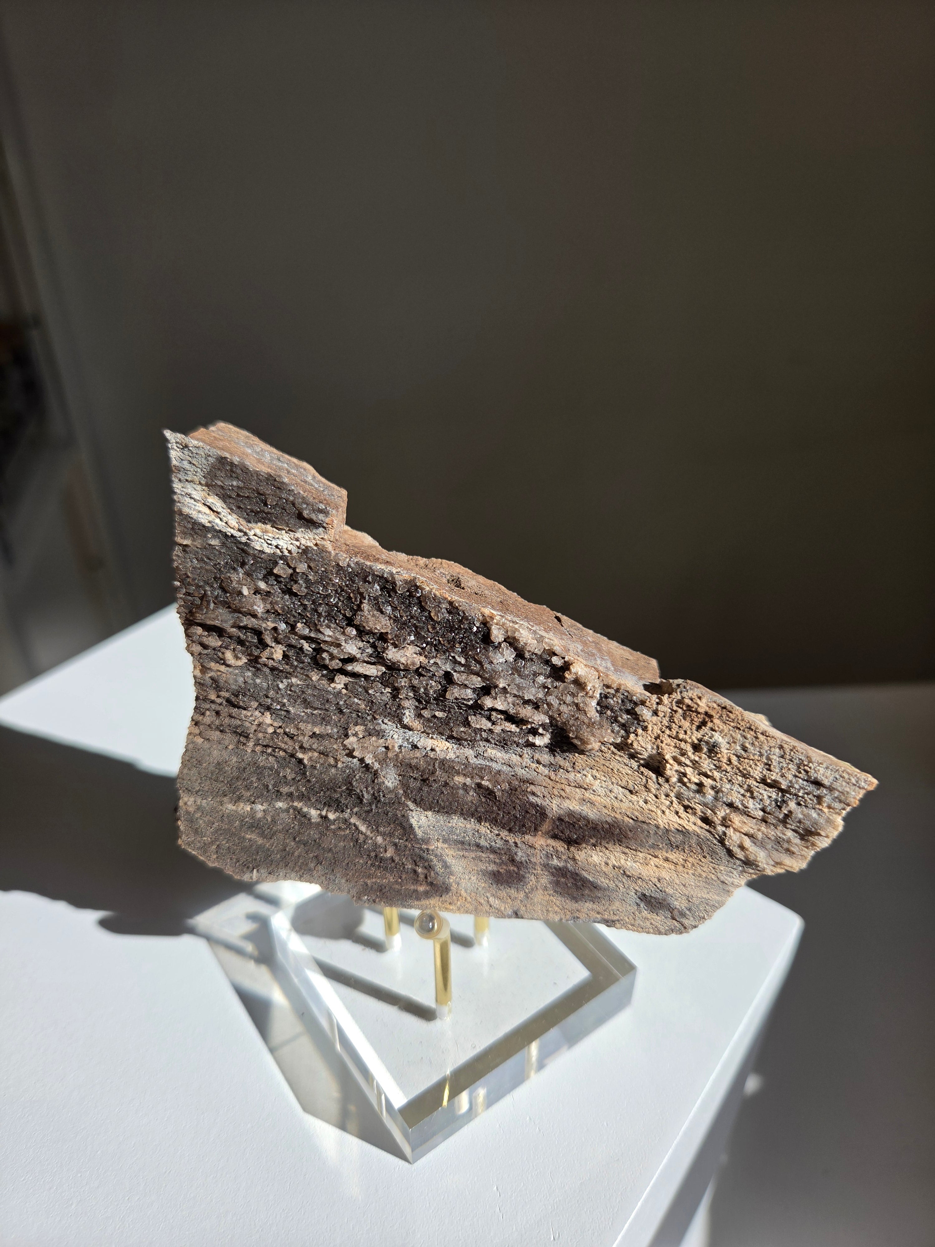Permineralized Wood x Smoky Quartz 002