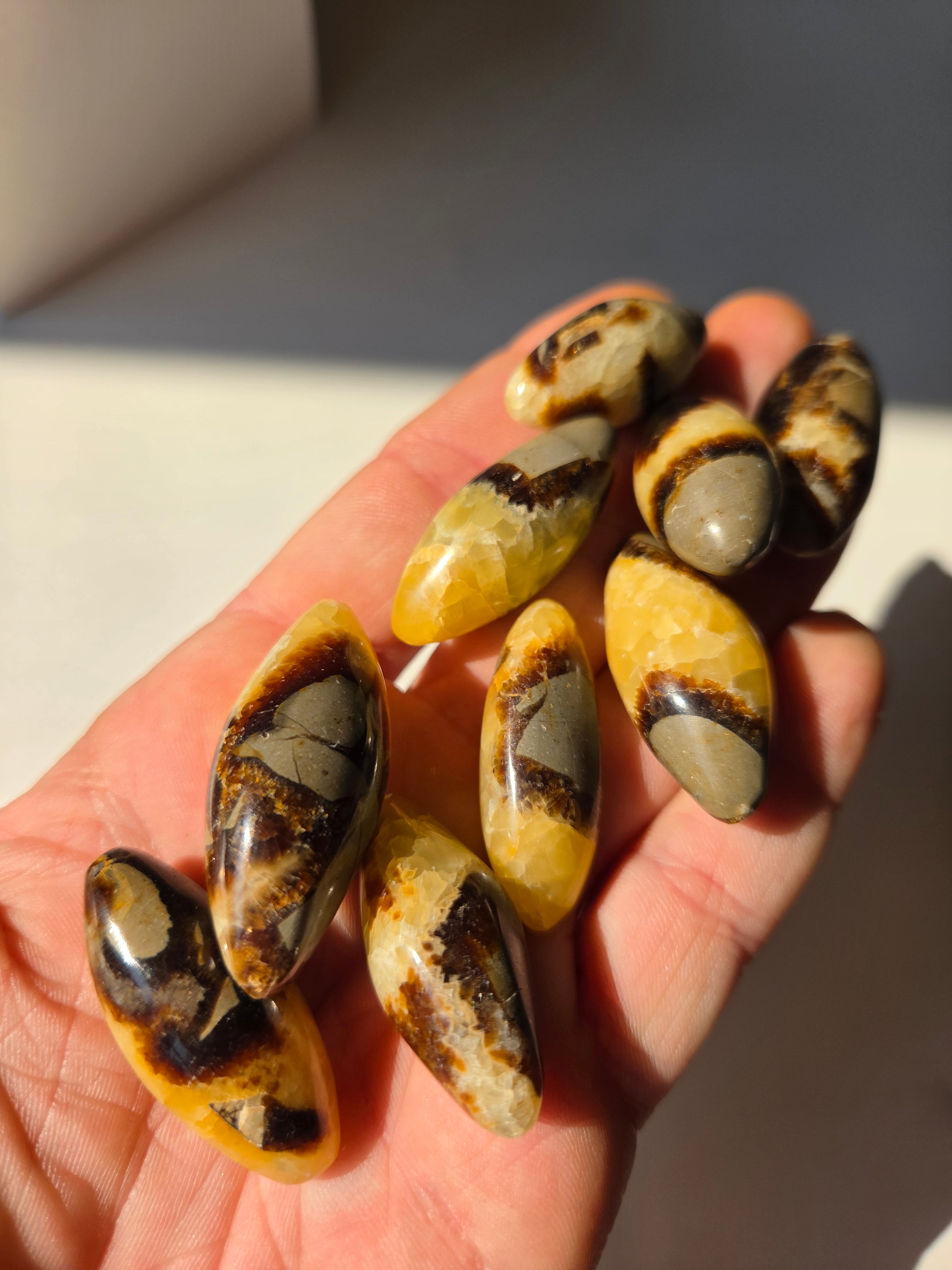 Septarian Mini Shiva