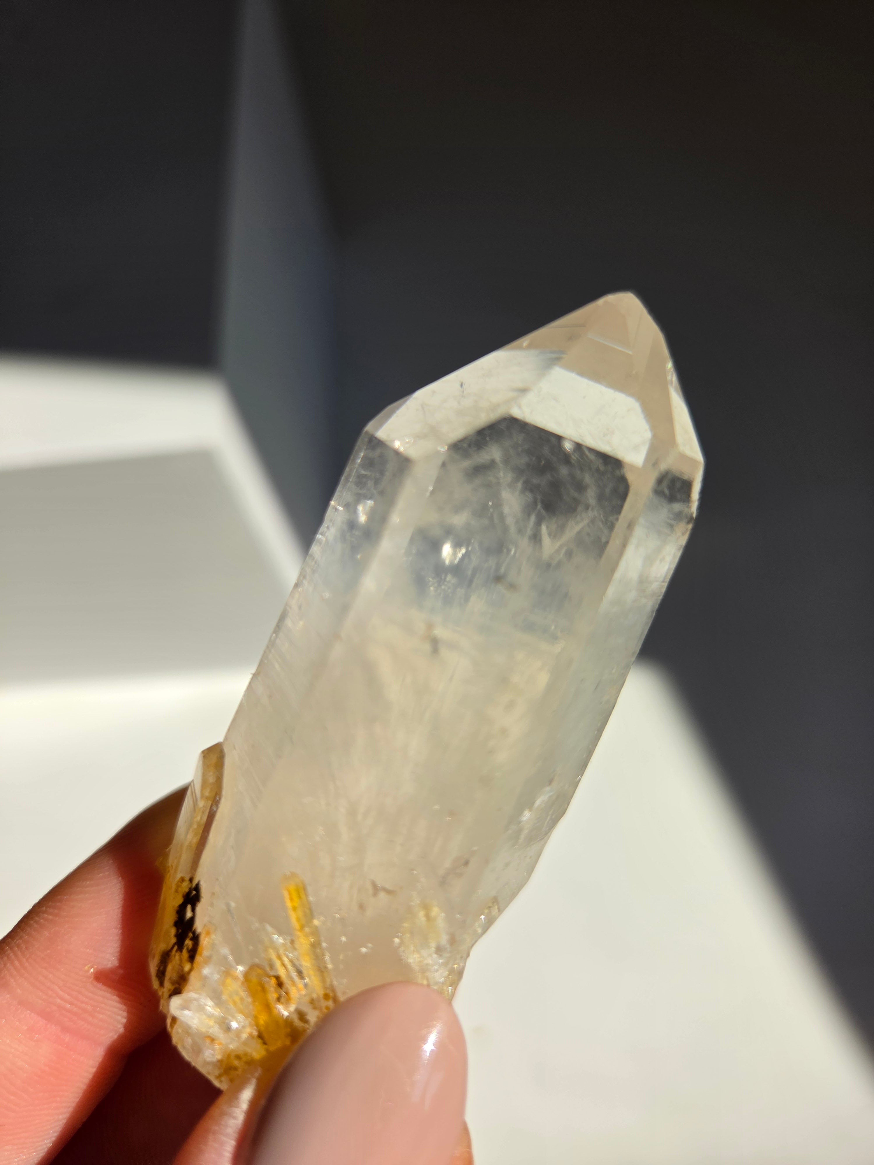 Blue Smoke Colombian Lemurian 001