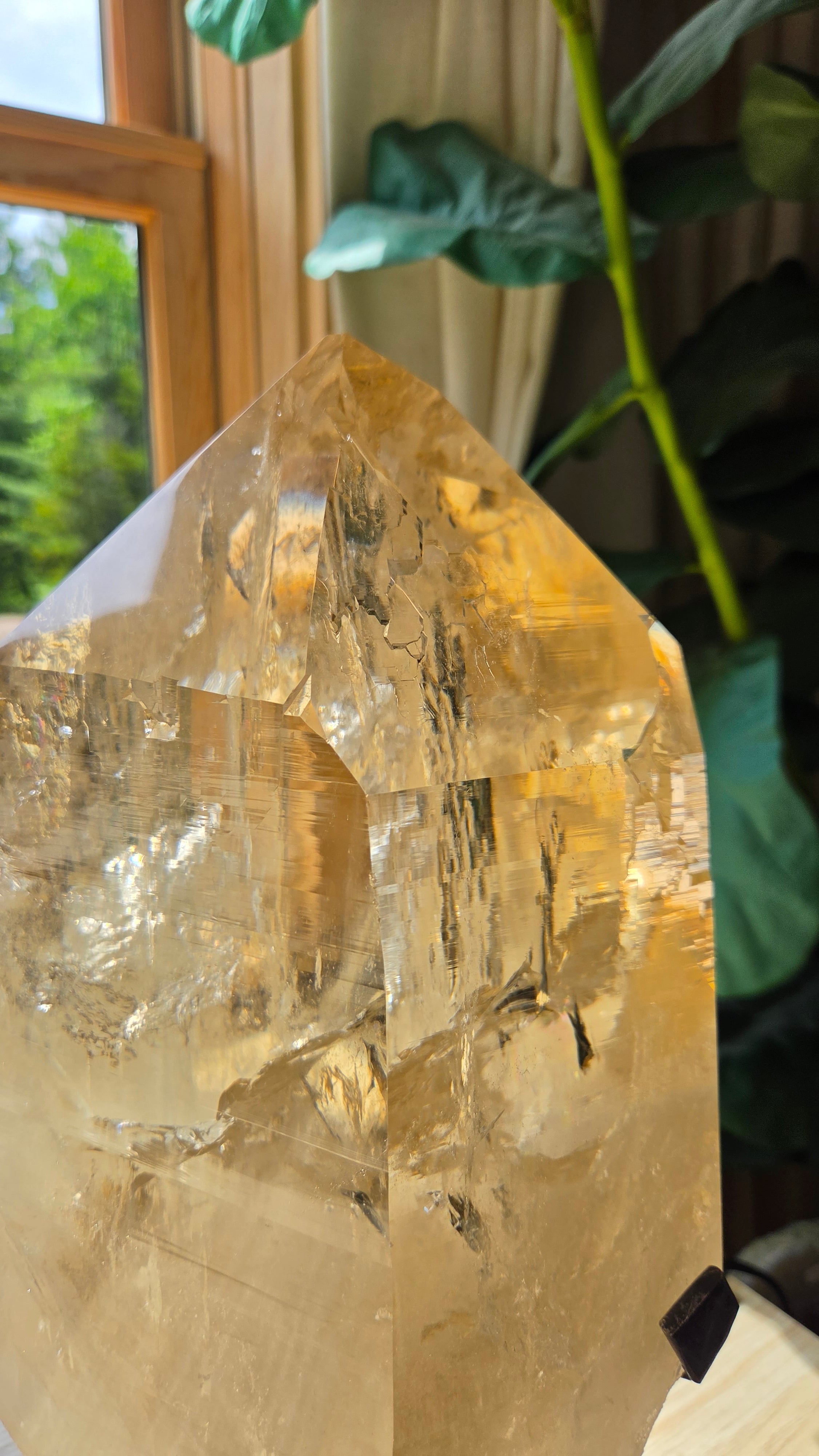 Mblh | Citrine pp