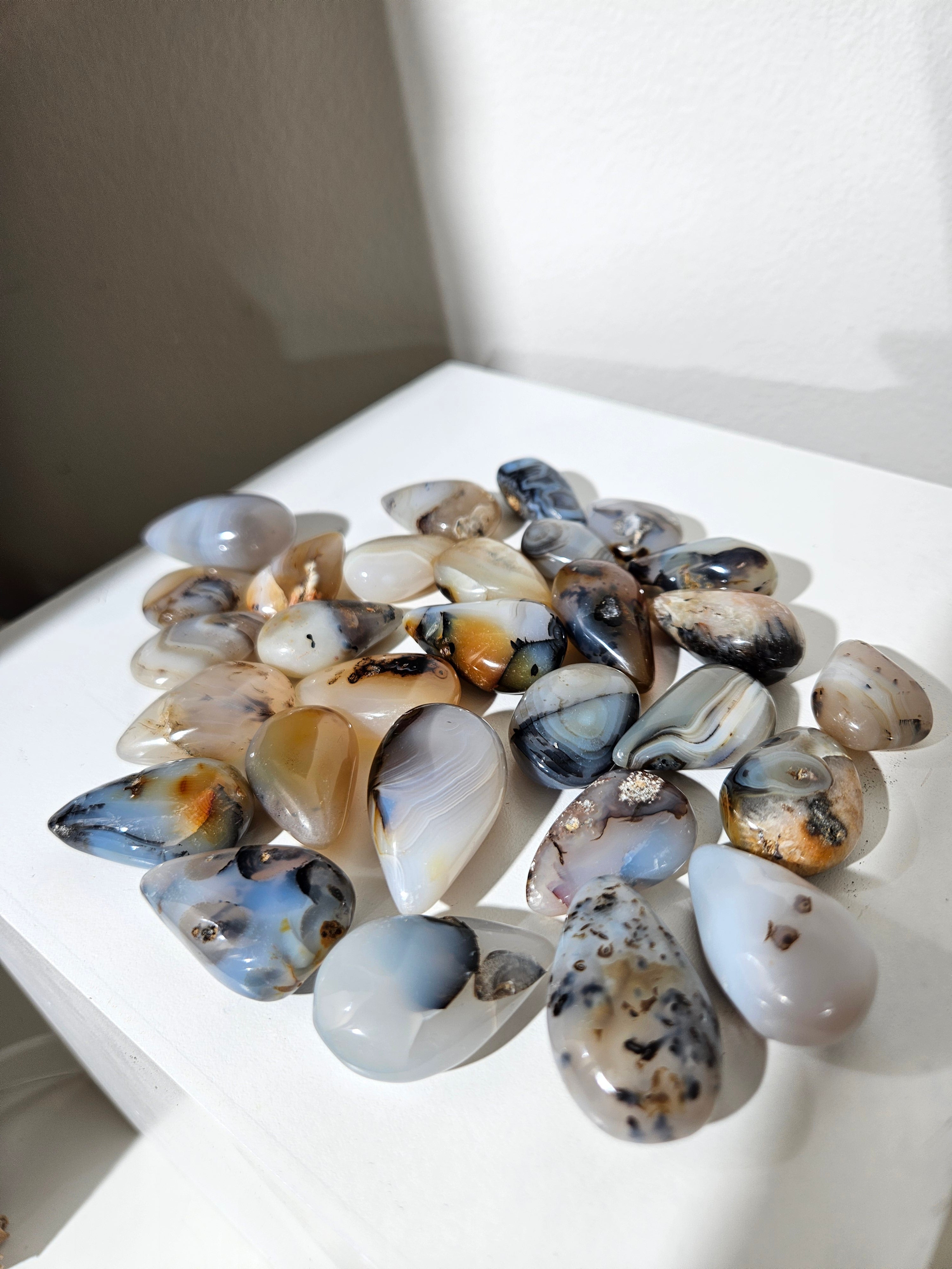 Dendritic Opal Teardrop Set