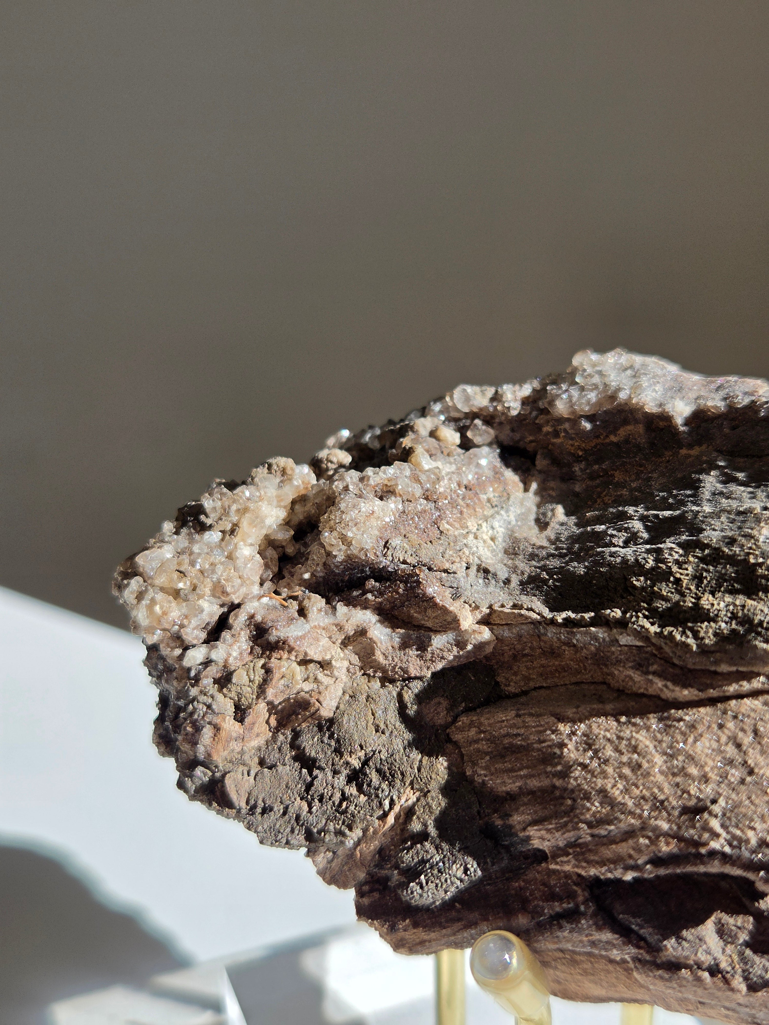 Permineralized Wood x Smoky Quartz 001