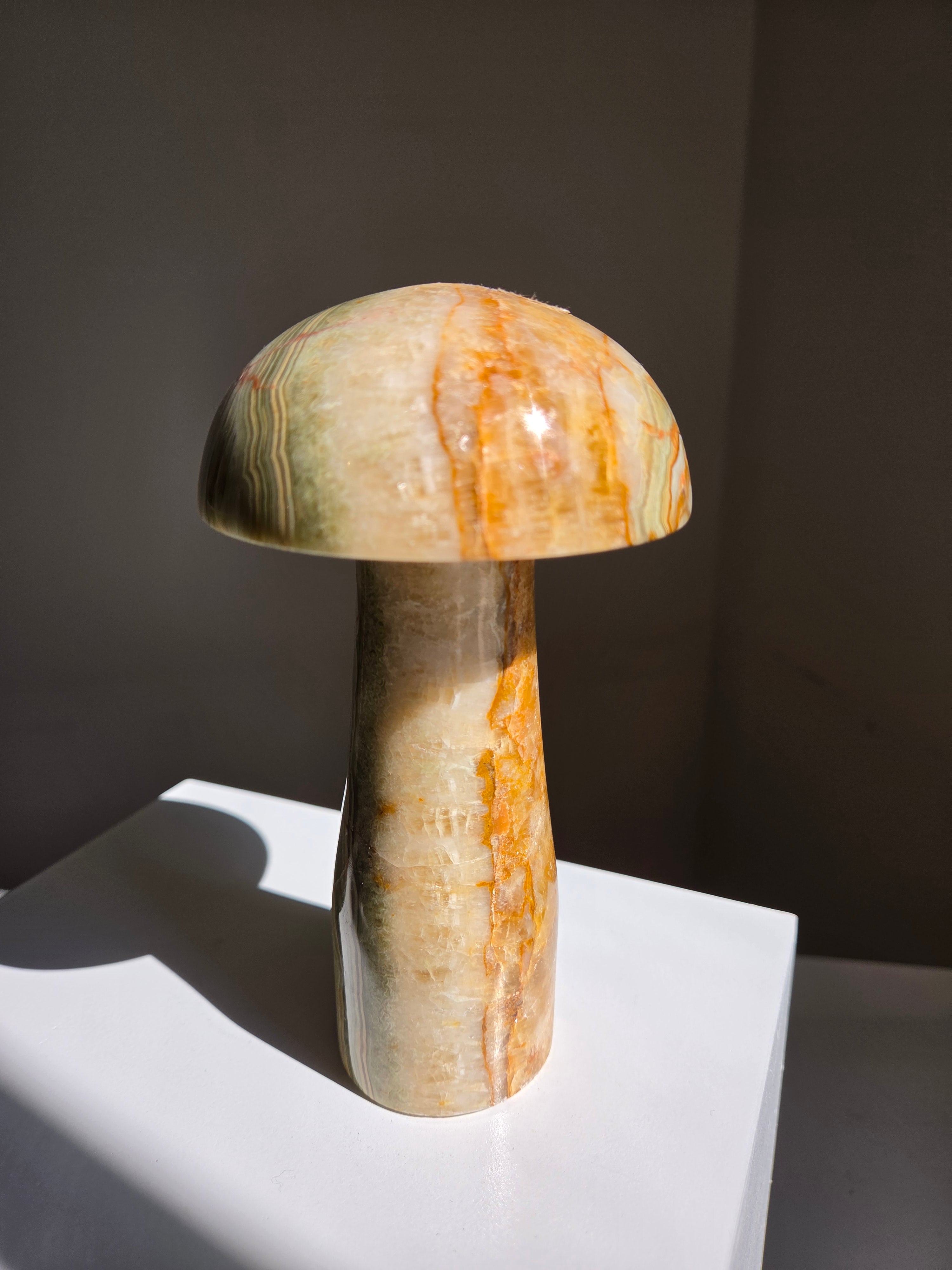Onyx Mushroom | intuitively selected