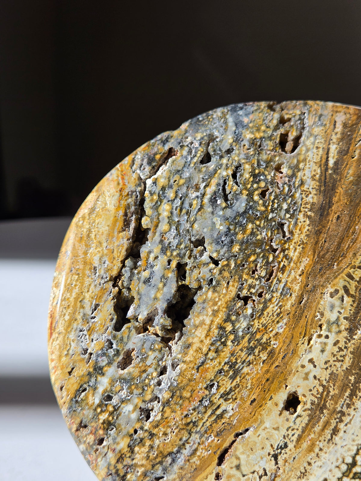 Sea Jasper Slab 009