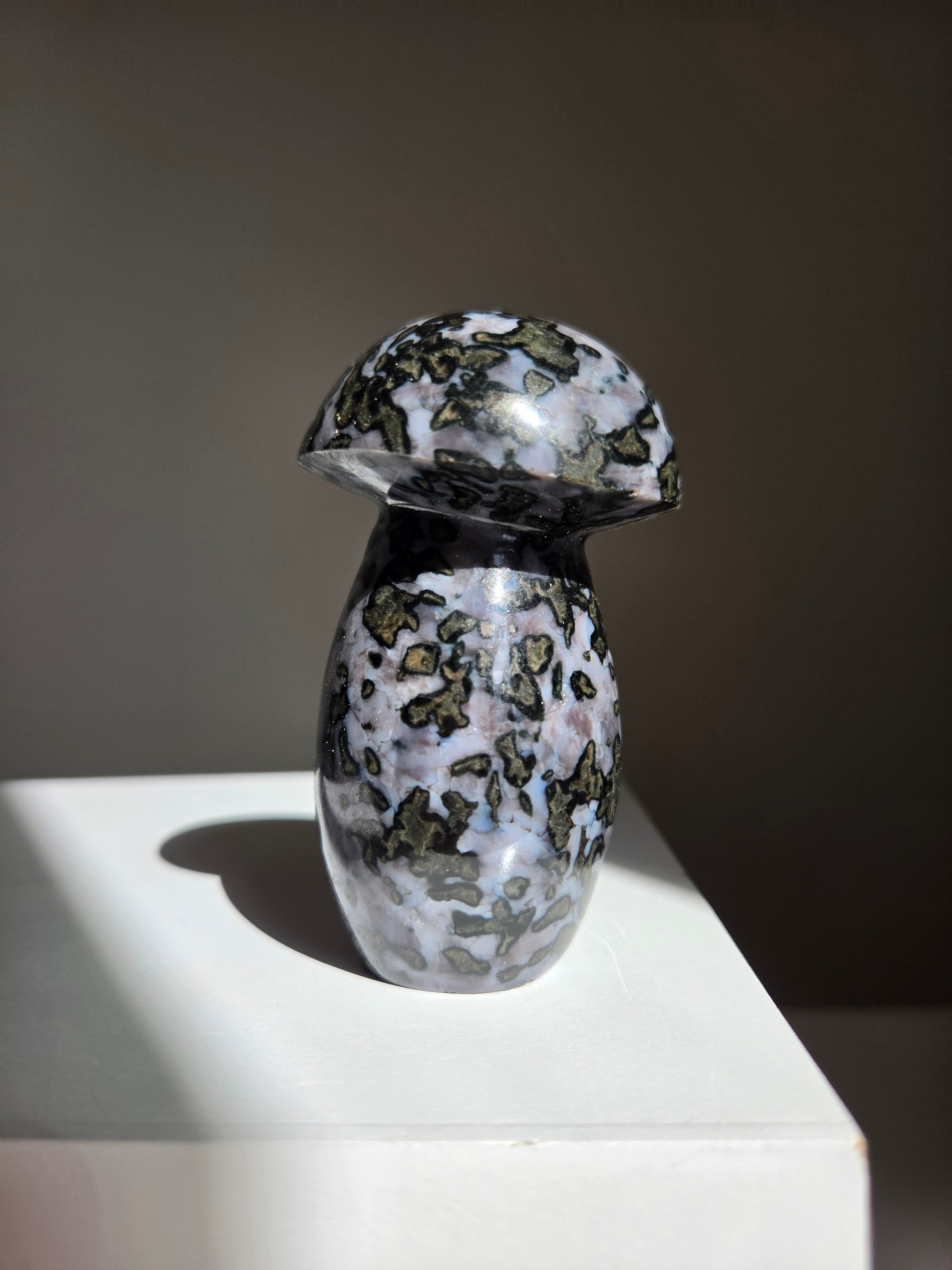 Indigo Gabbro Mushroom 004