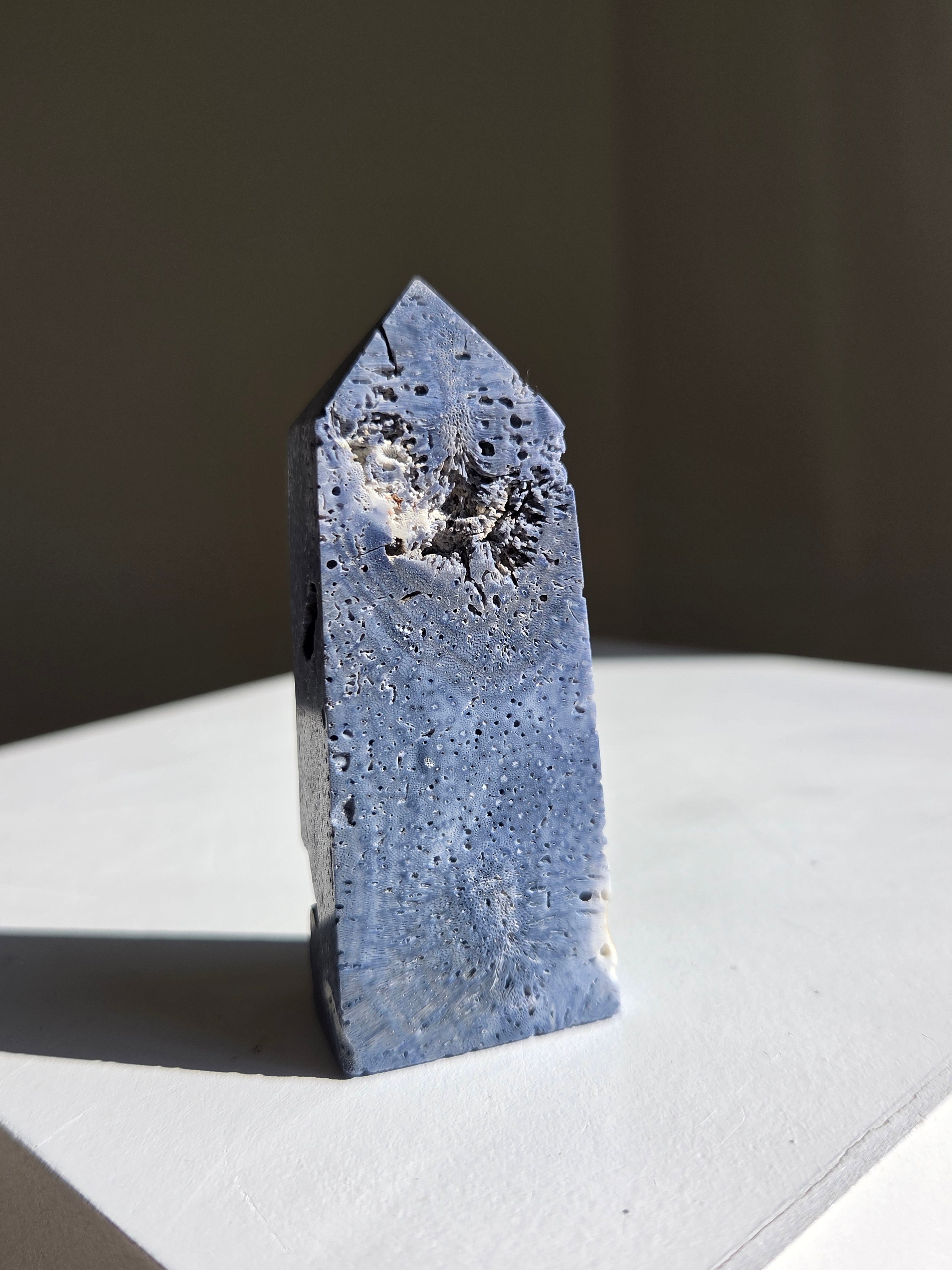 Blue Coral Tower 005